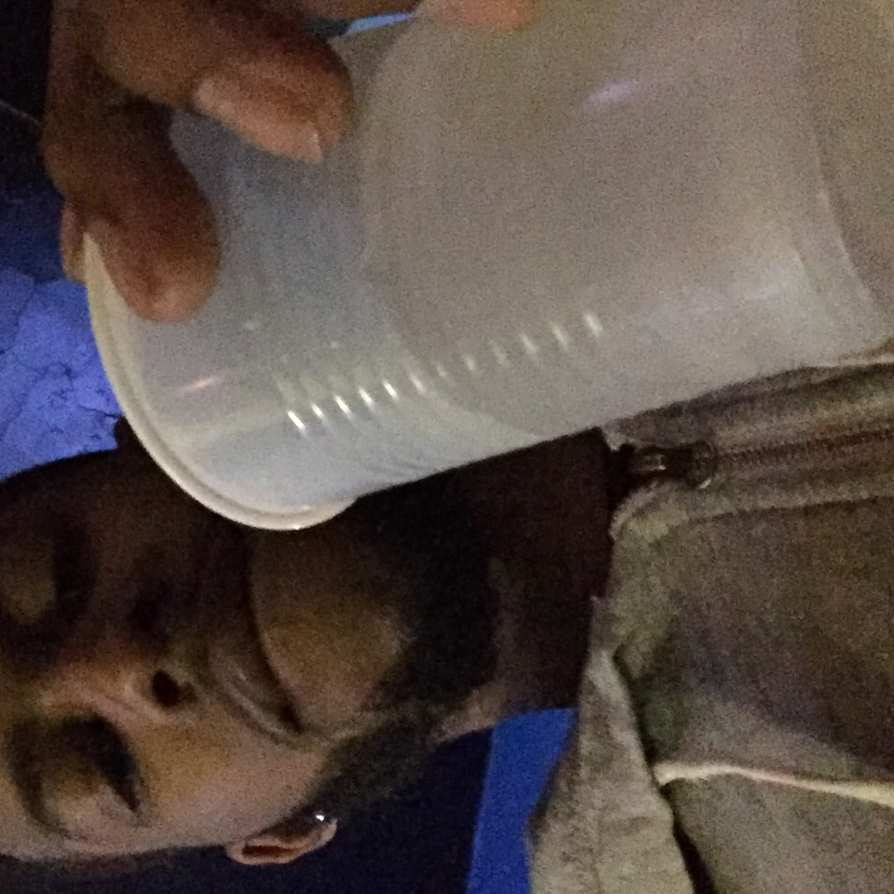 Pt3