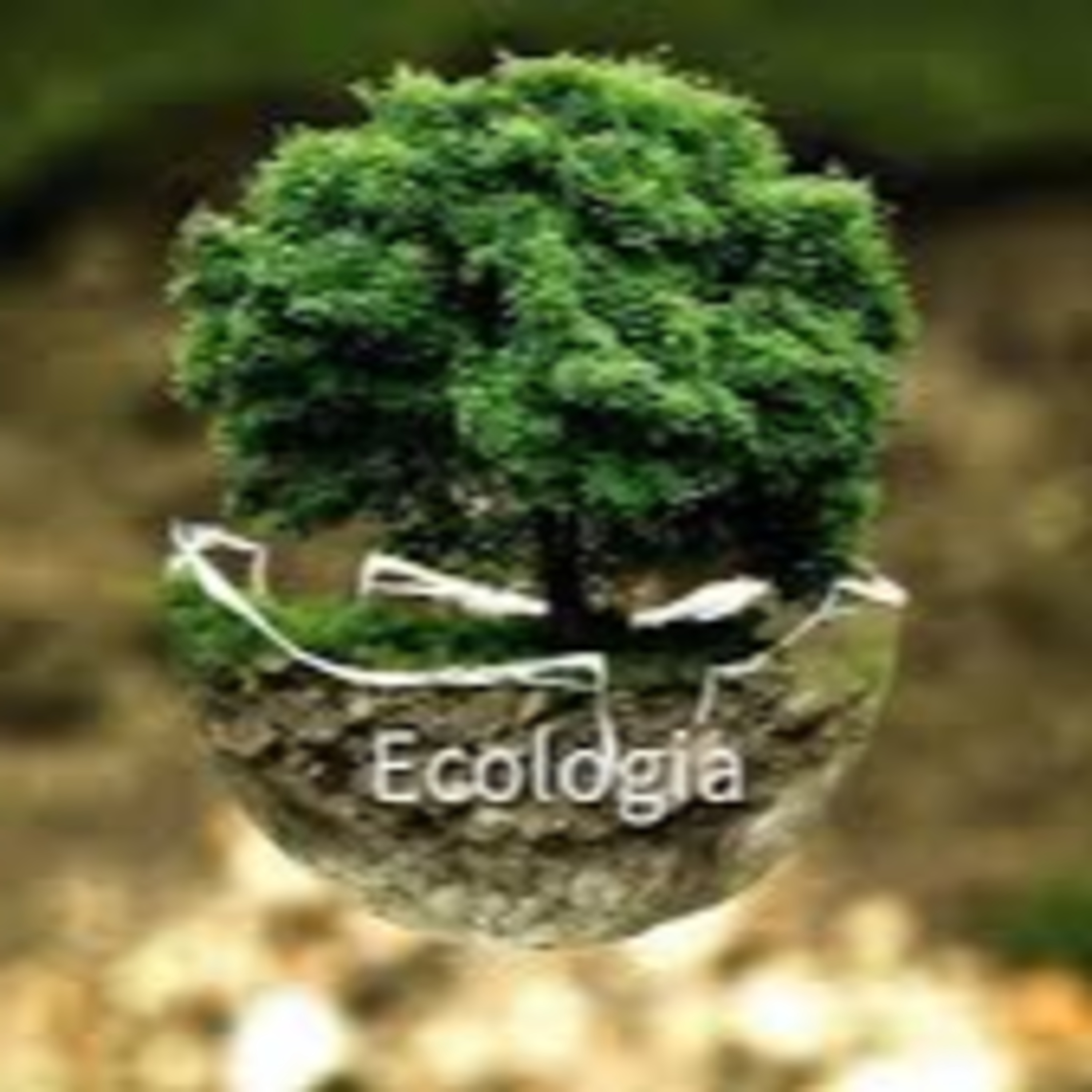 Bio Total Ciências da Natureza e suas Tecnologias
