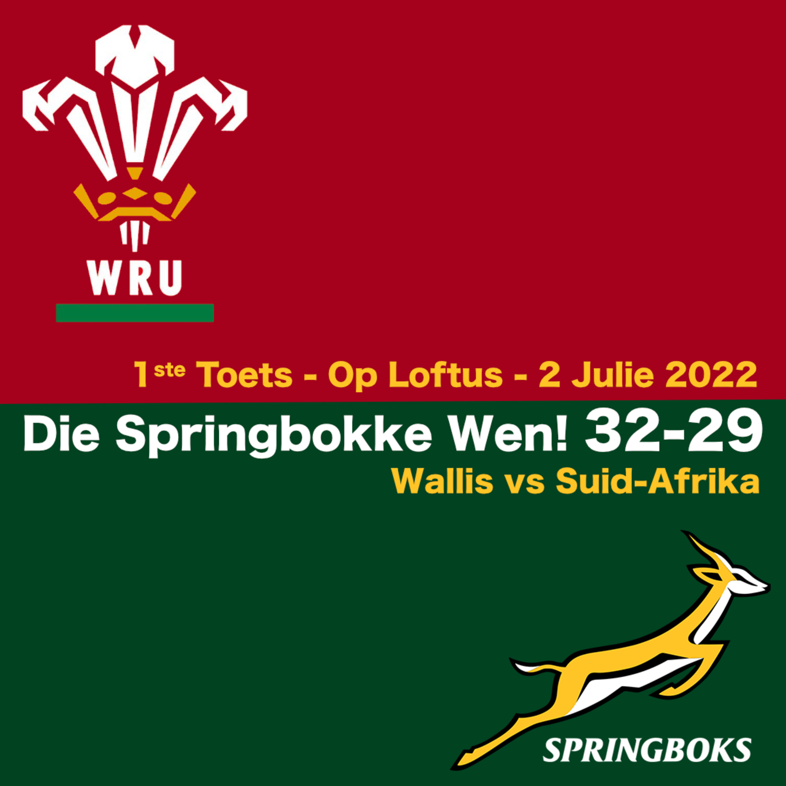 Springbok Rugby Potgooi