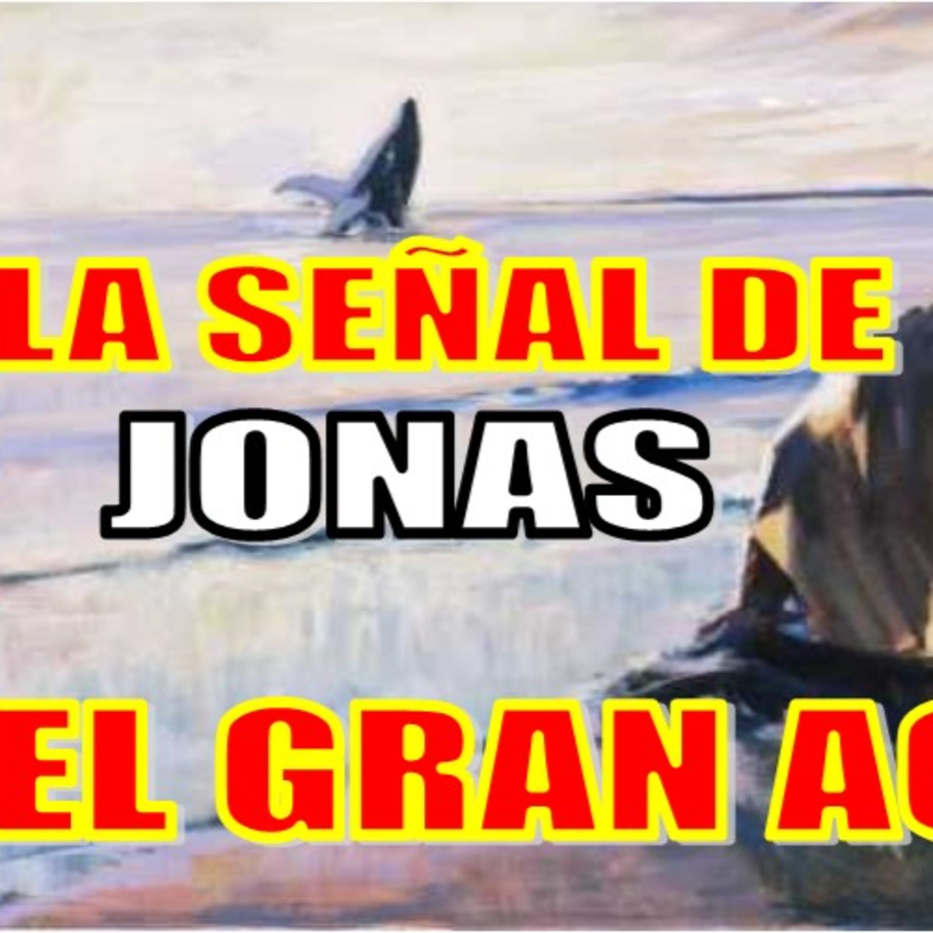 Portada de ECUSATON ARITMON