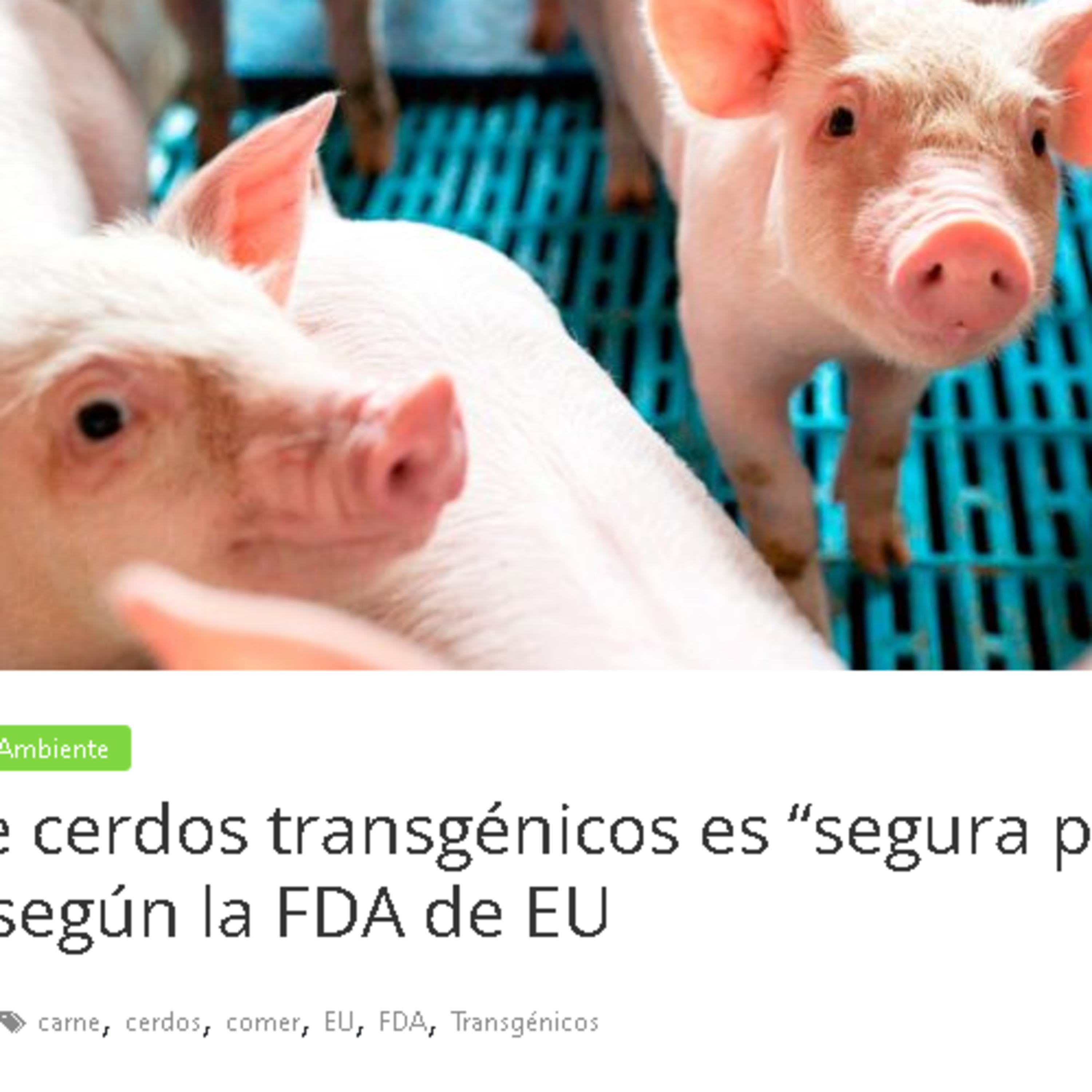 Portada de ECUSATON ARITMON