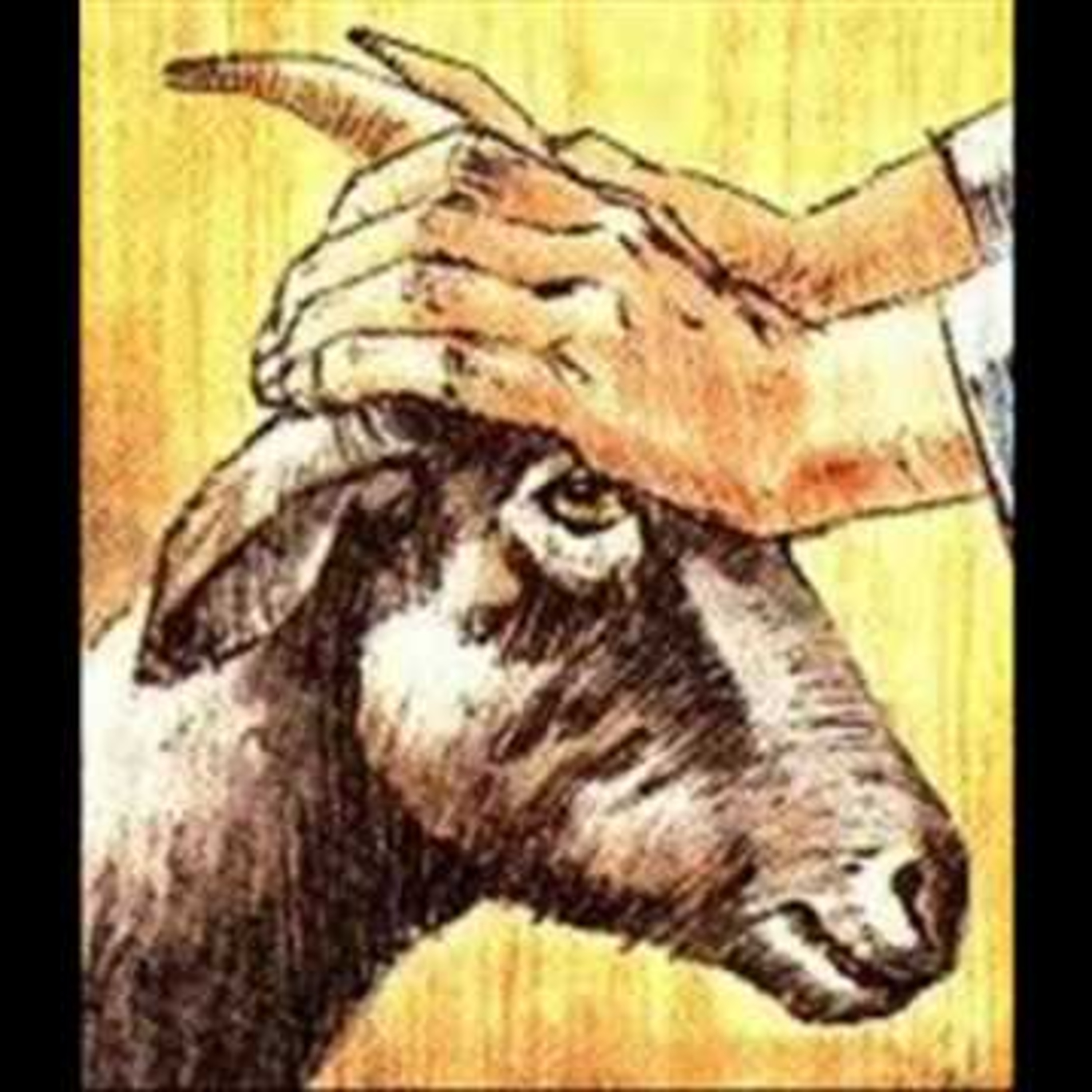 Portada de ECUSATON ARITMON