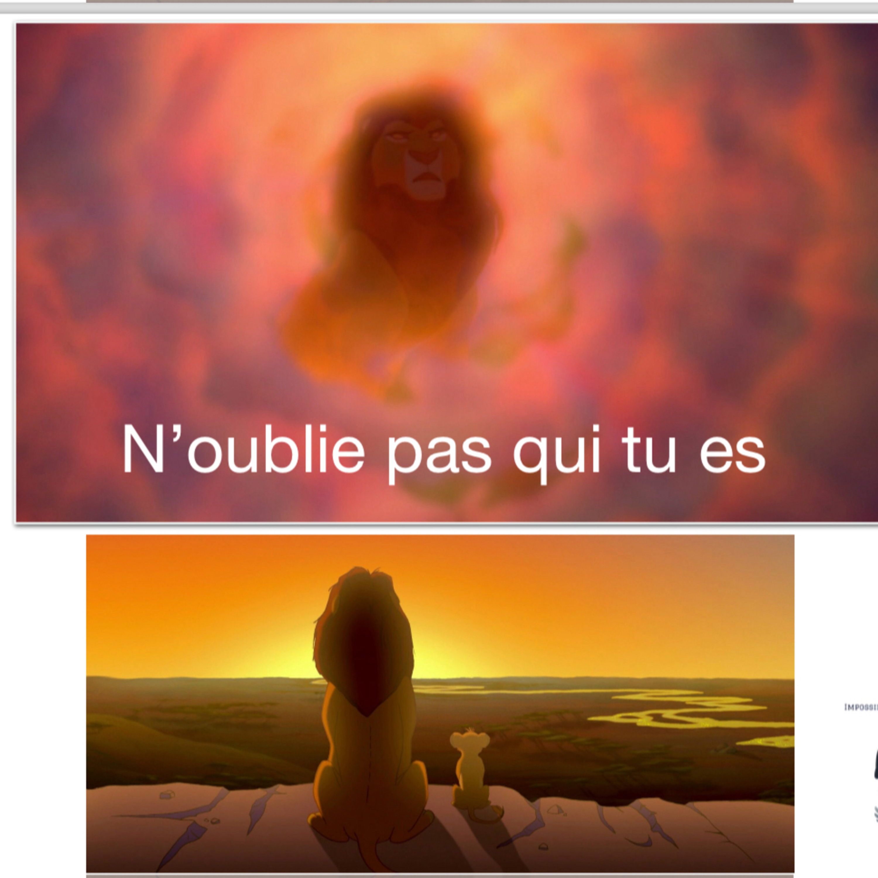Extrait conférence « le regard des autres »