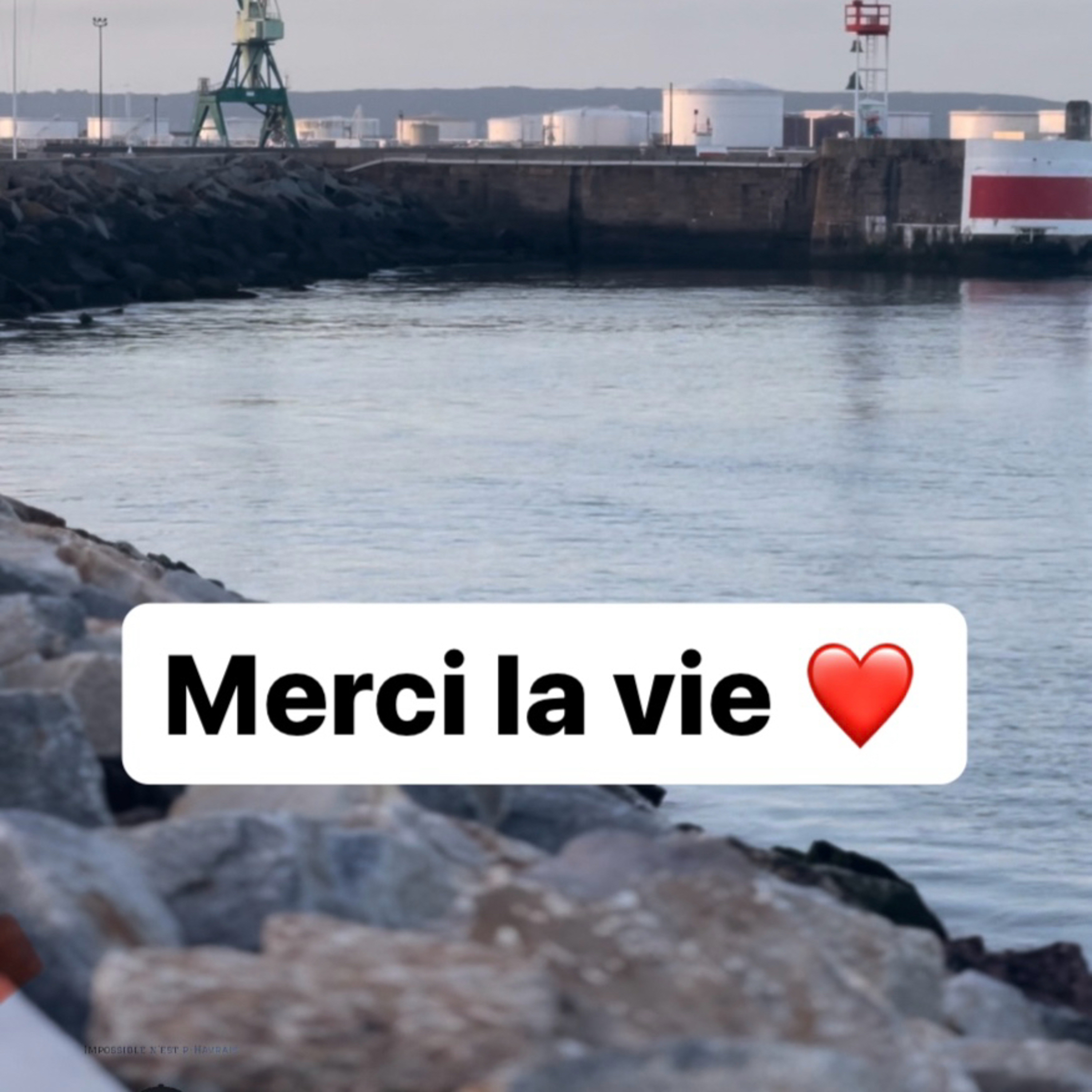 Merci la vie
