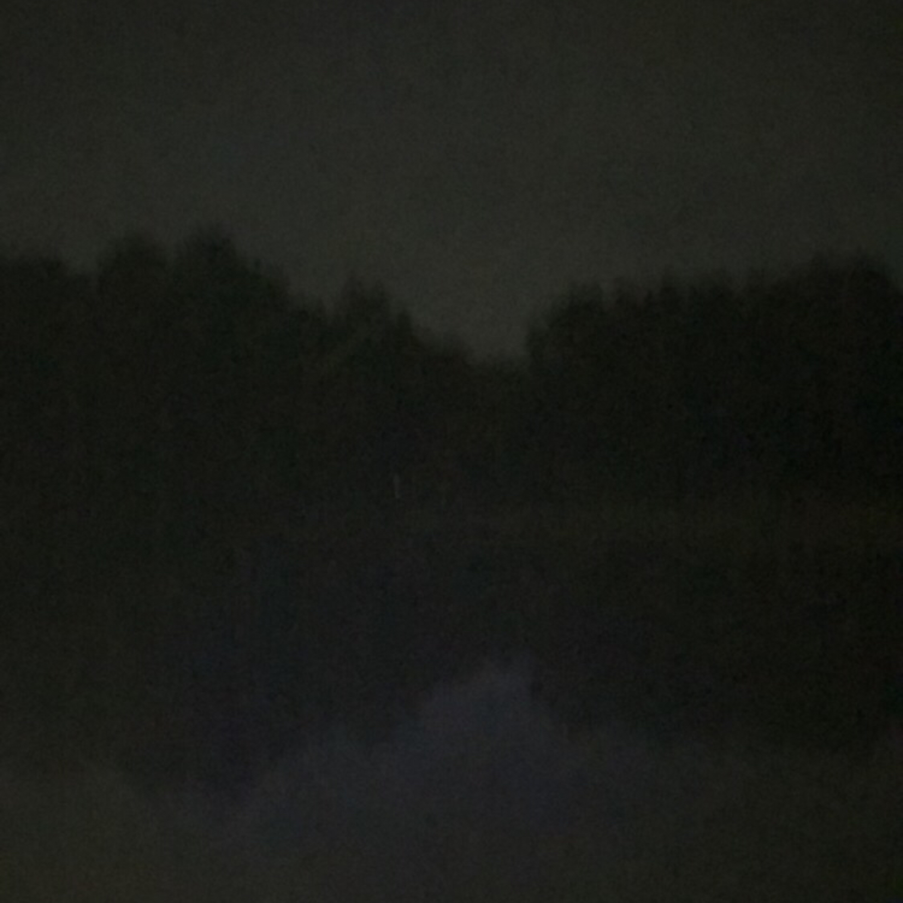 Pineapple. Guitars. Weed