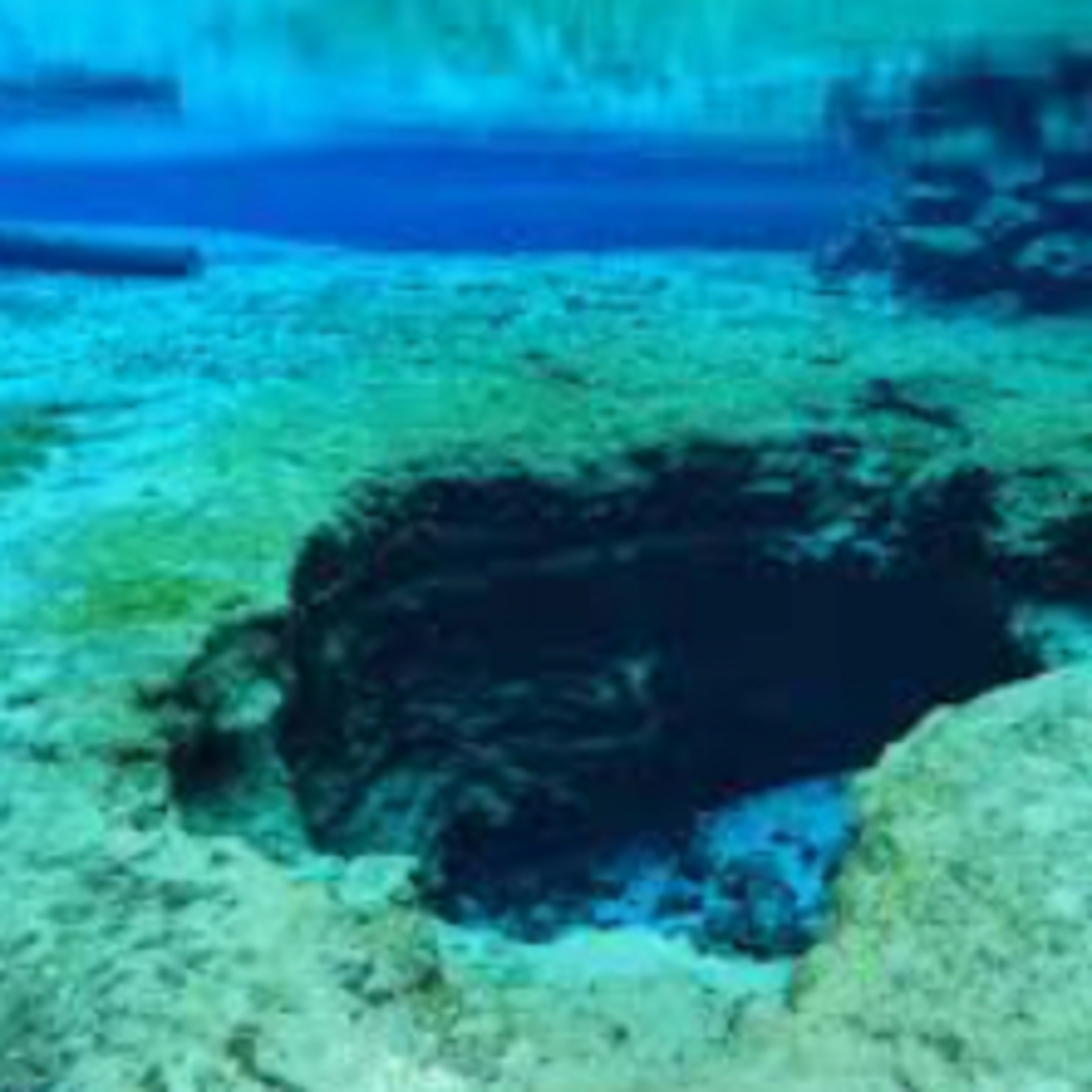 Pineapple. Guitars. Weed