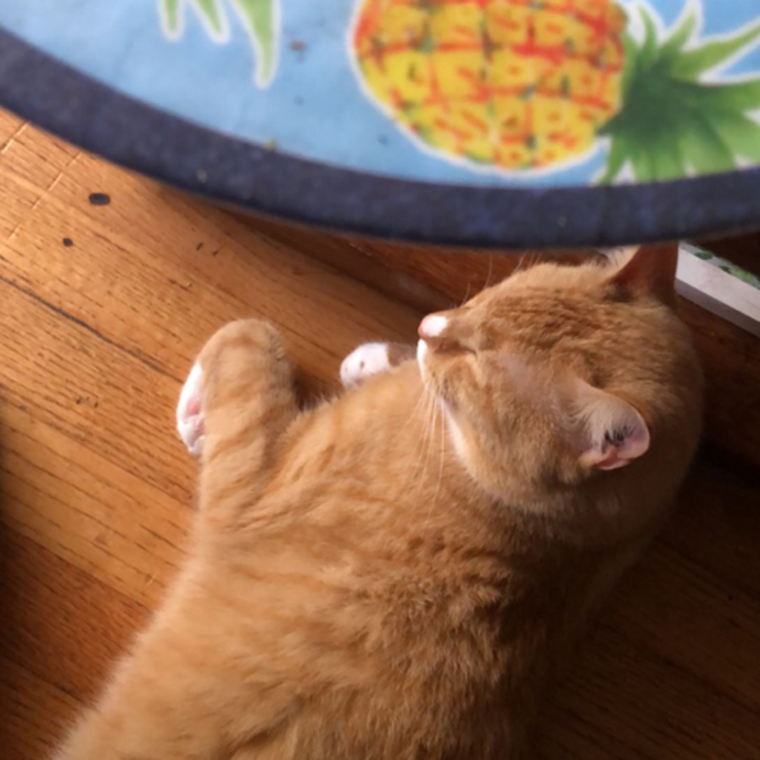 Pineapple. Guitars. Weed