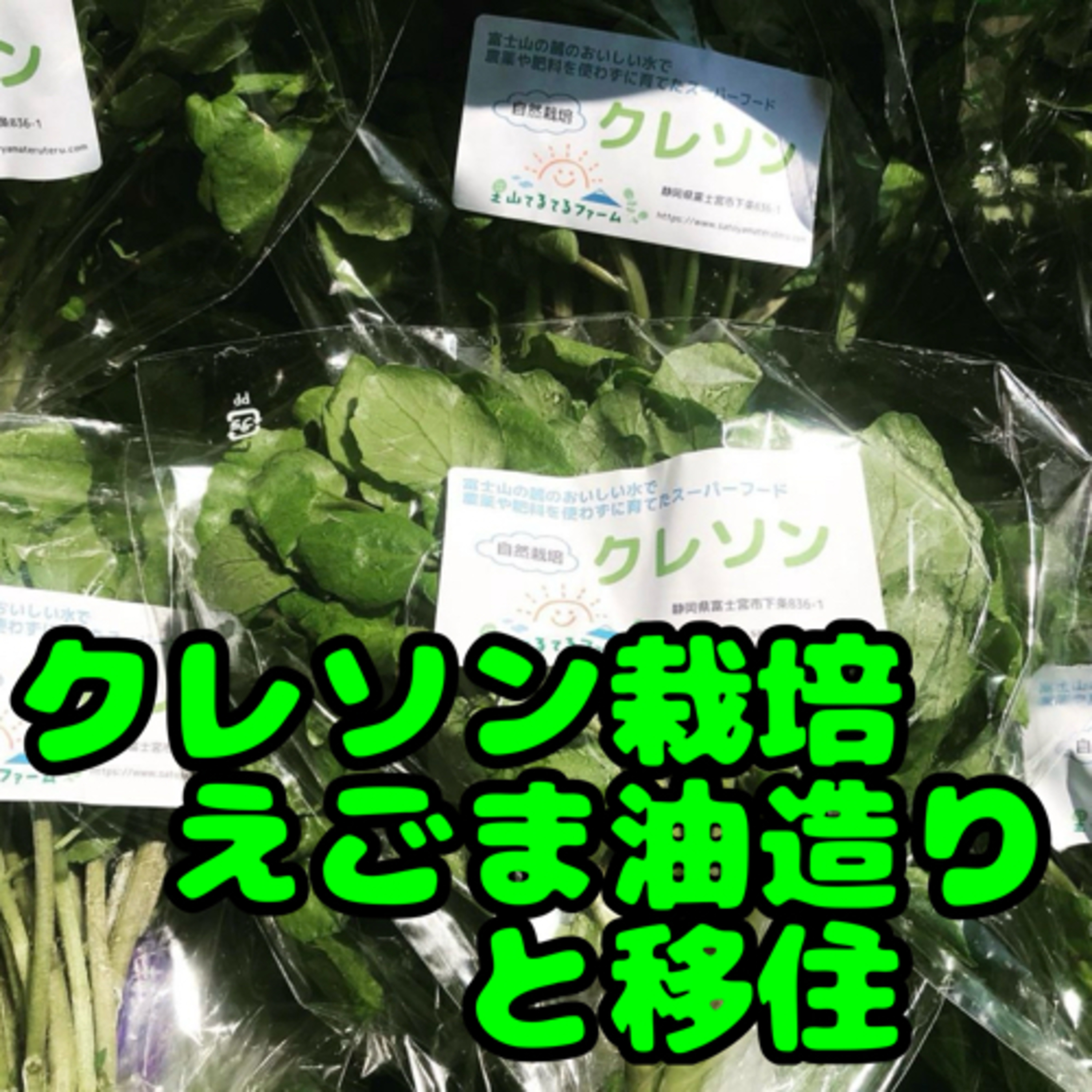 クレソン栽培とえごま油＆移住【里山てるてるファーム】
