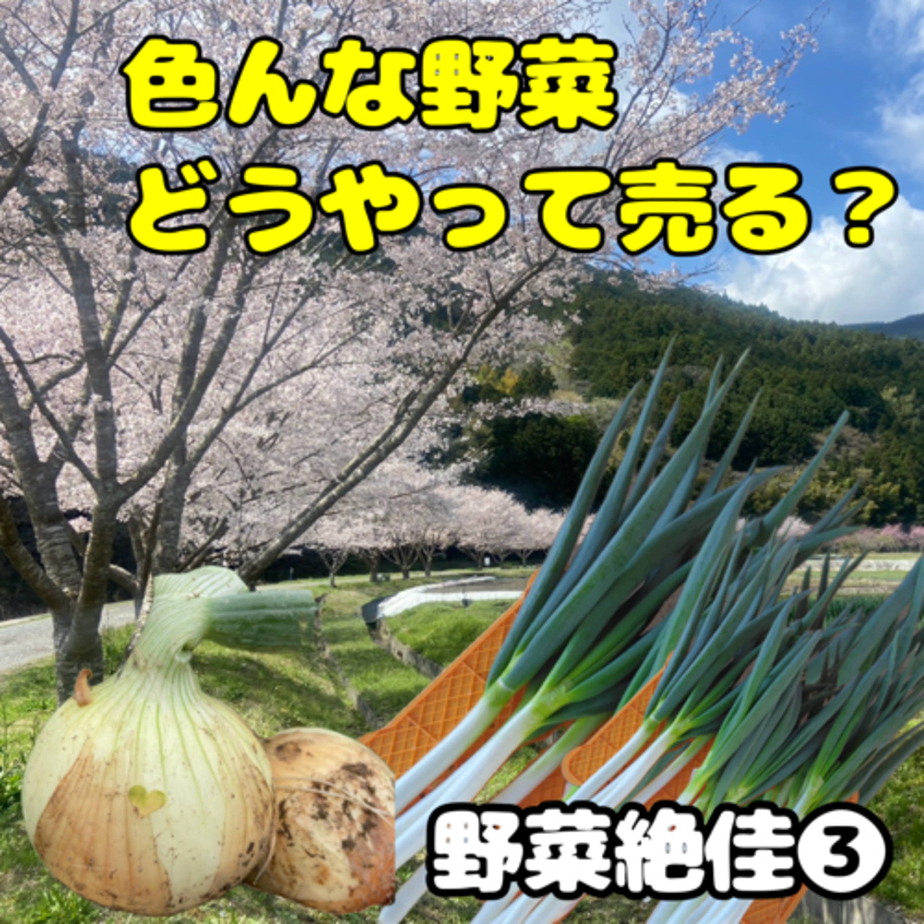 市場？個販？直販？【野菜絶佳❸】
