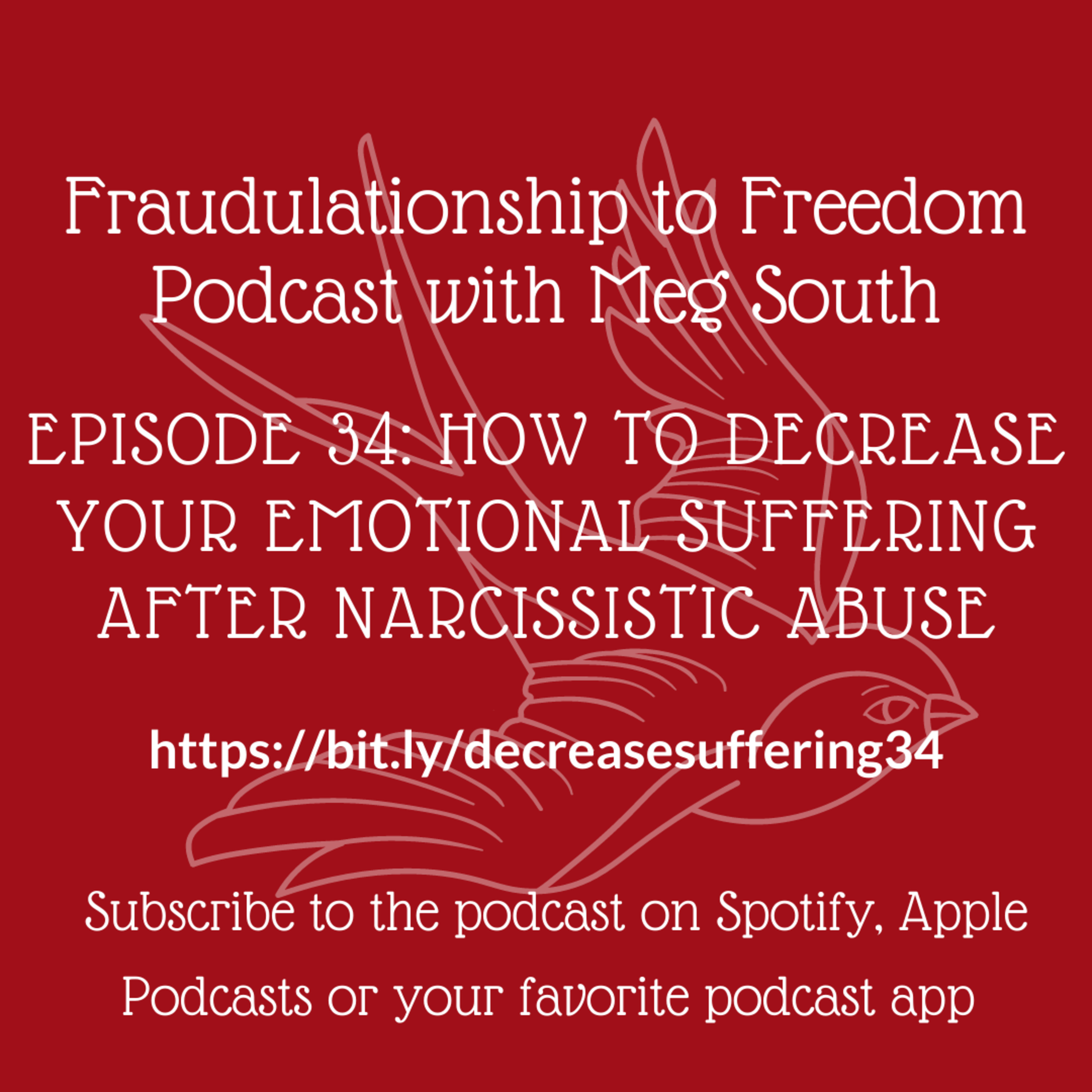 Episode 34: How to Decrease Your Emotional Suffering After Narcissistic Abuse episode artwork