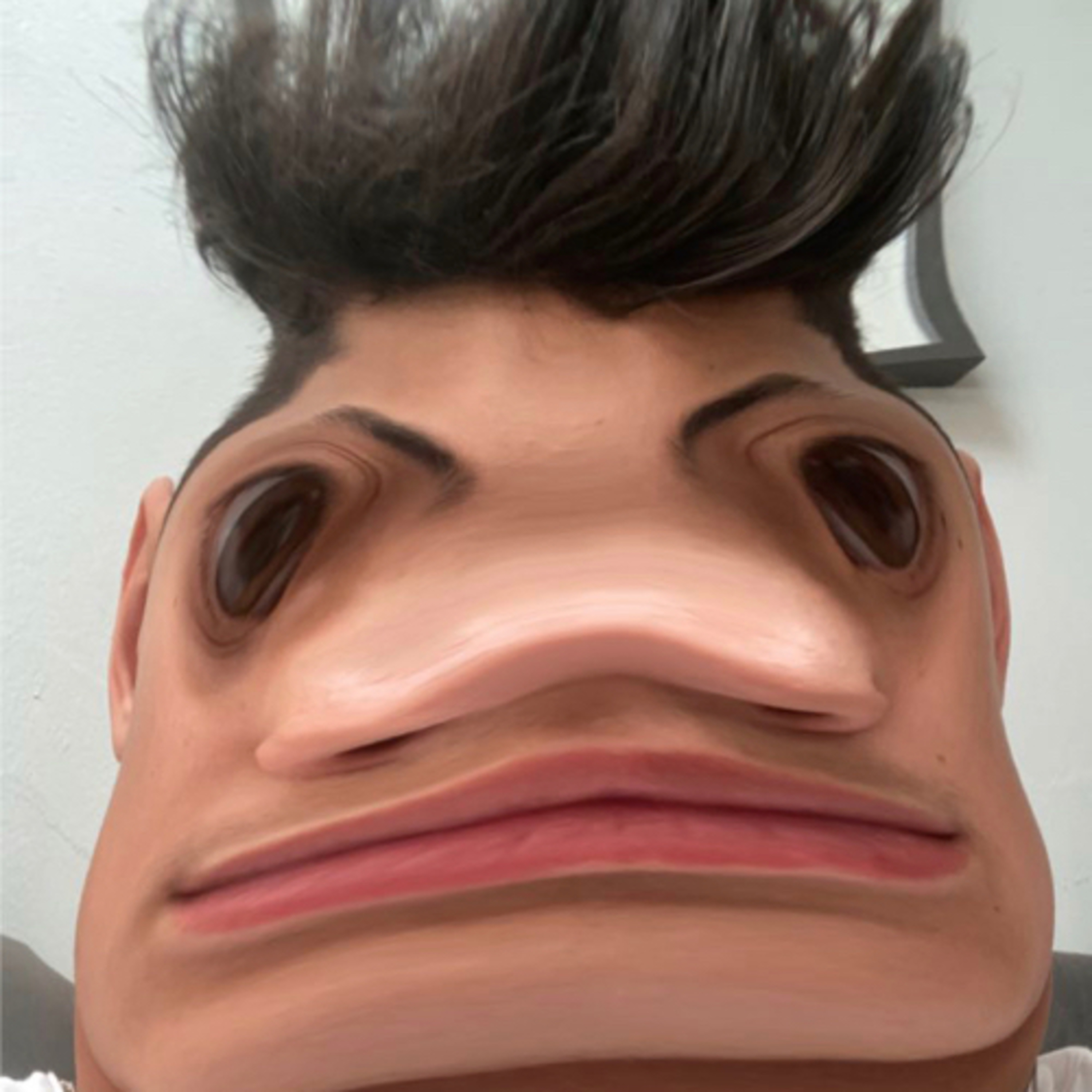 Reptilian Boyz
