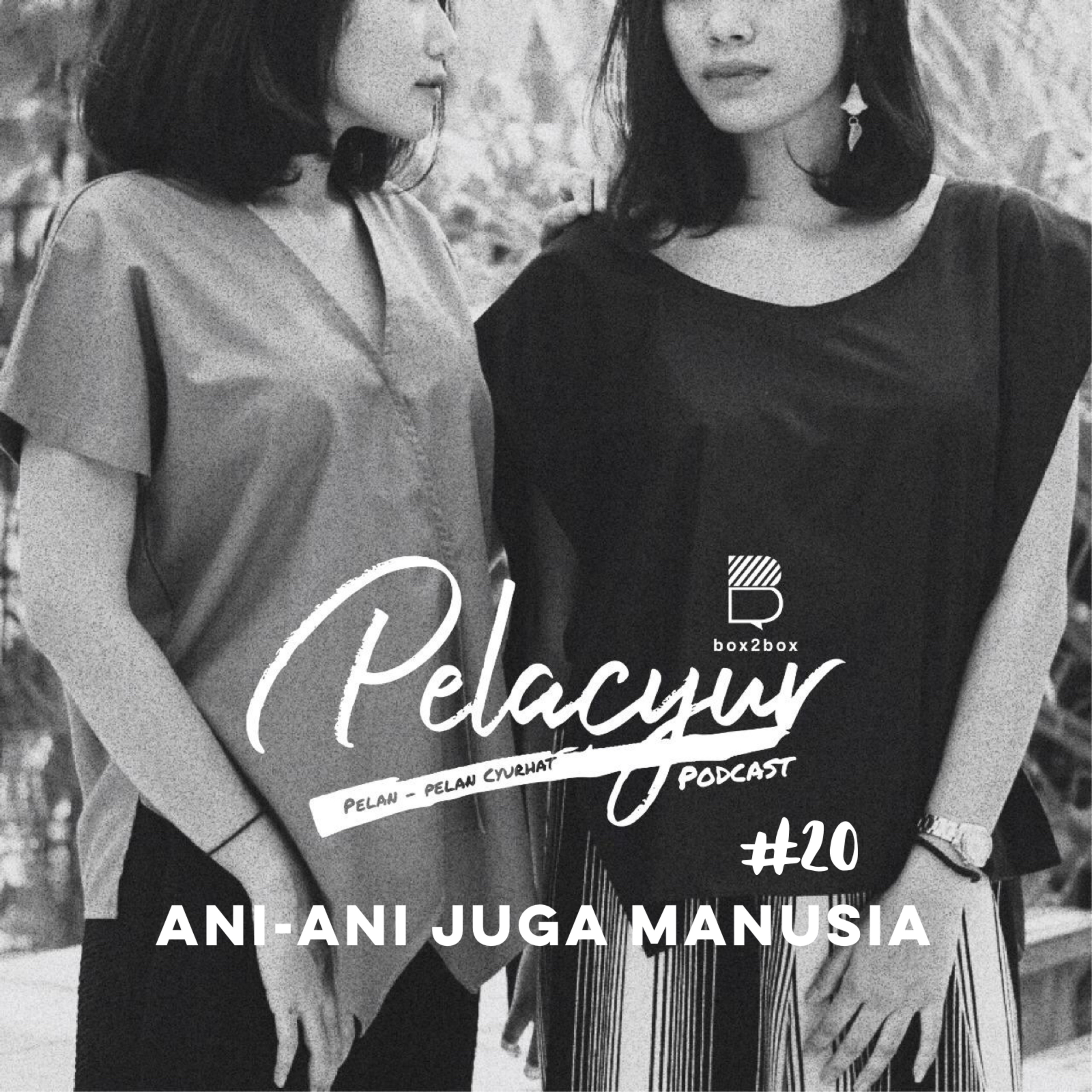 PELACYUR