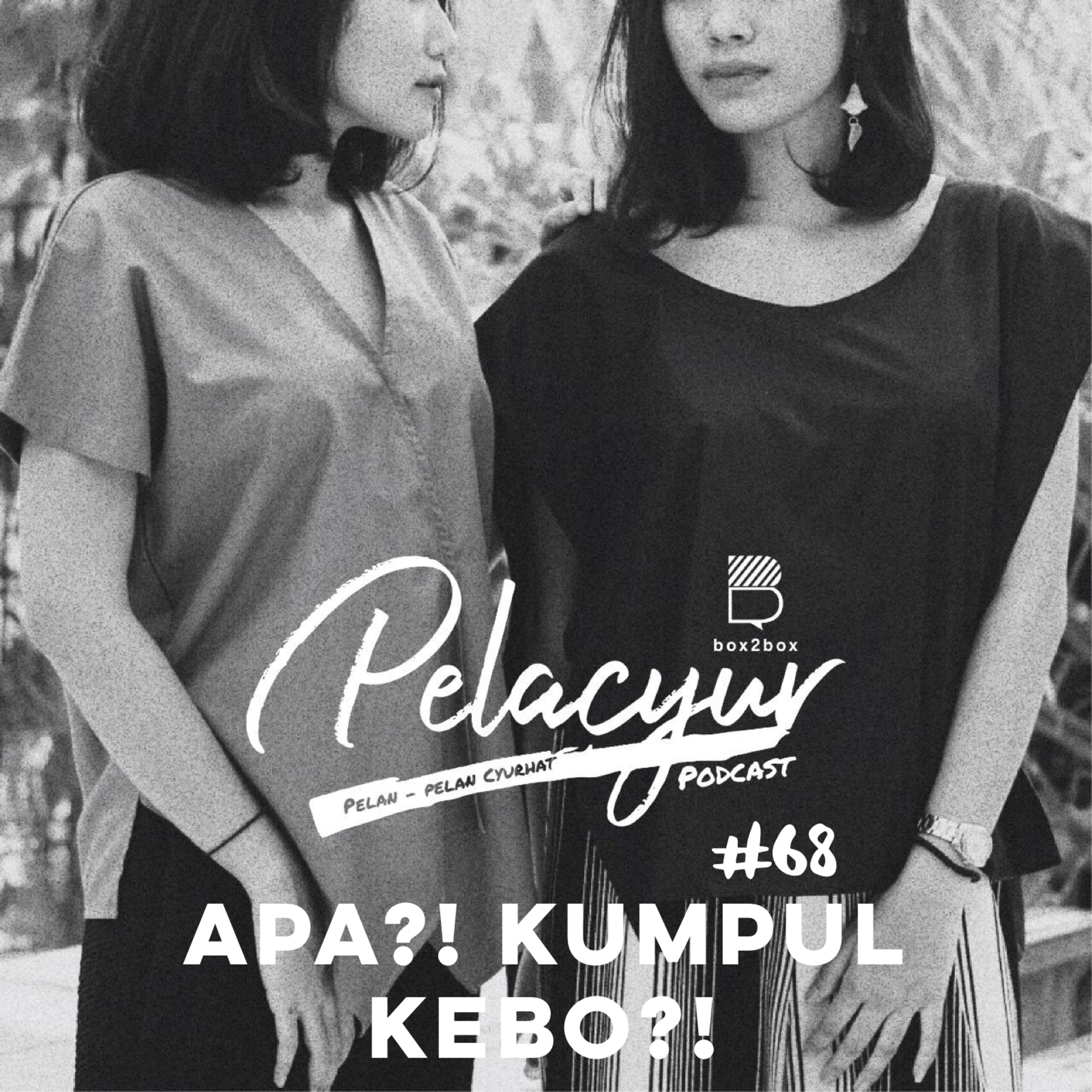 PELACYUR