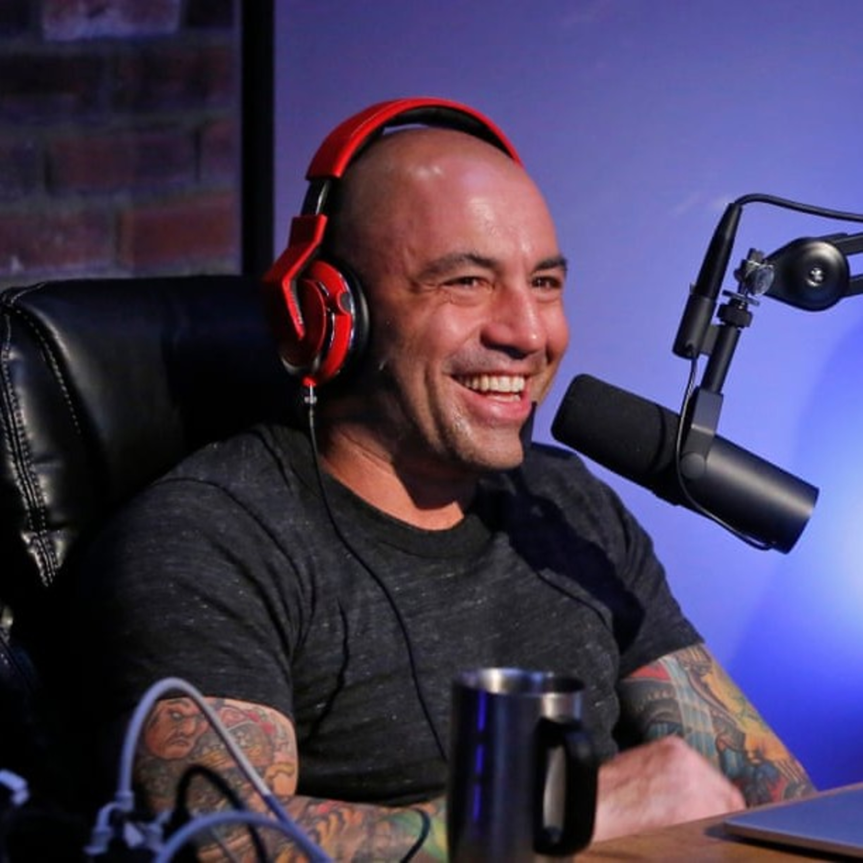 Joe Rogan is not a racist? episode artwork