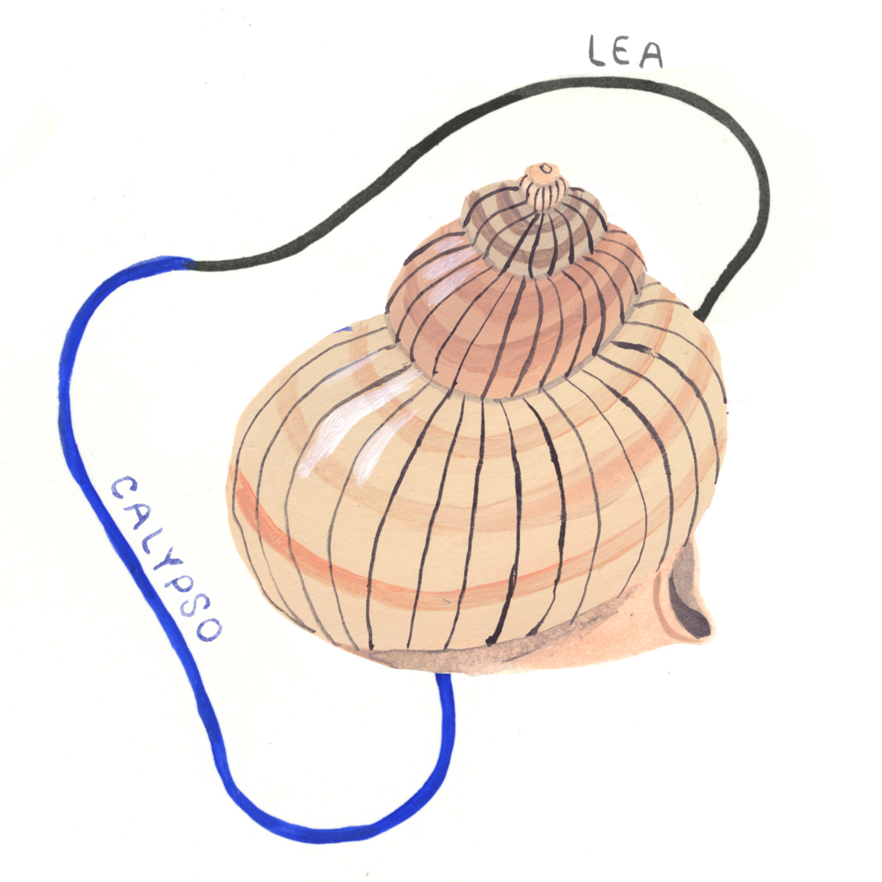 Bouteilles à la mer