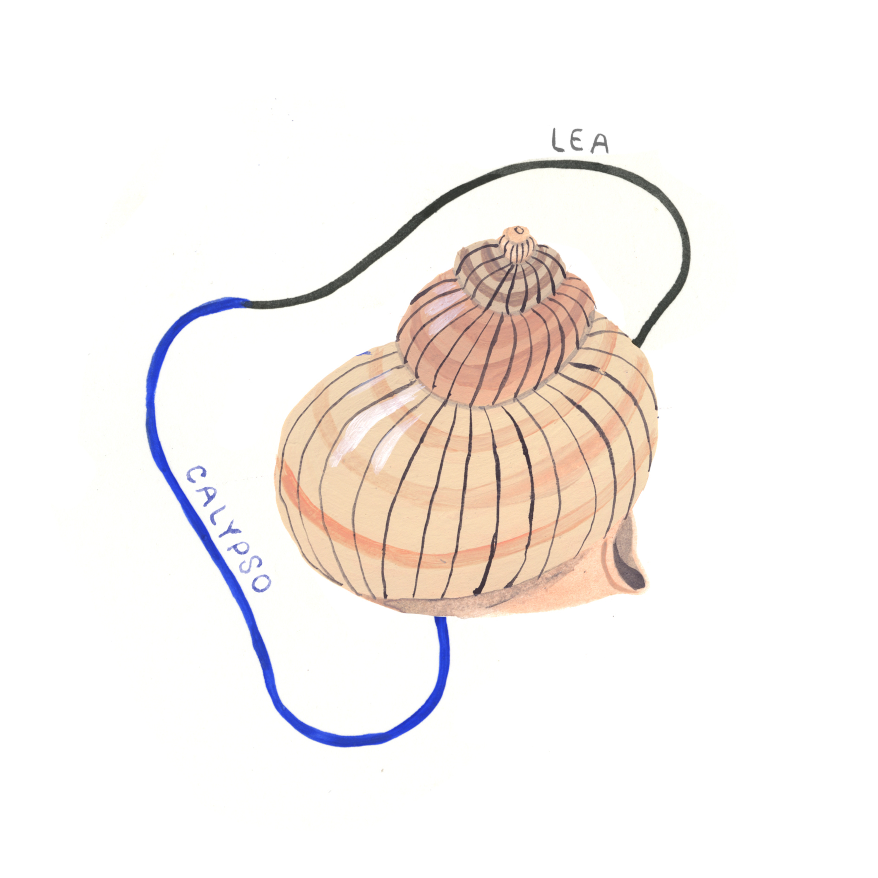 Bouteilles à la mer