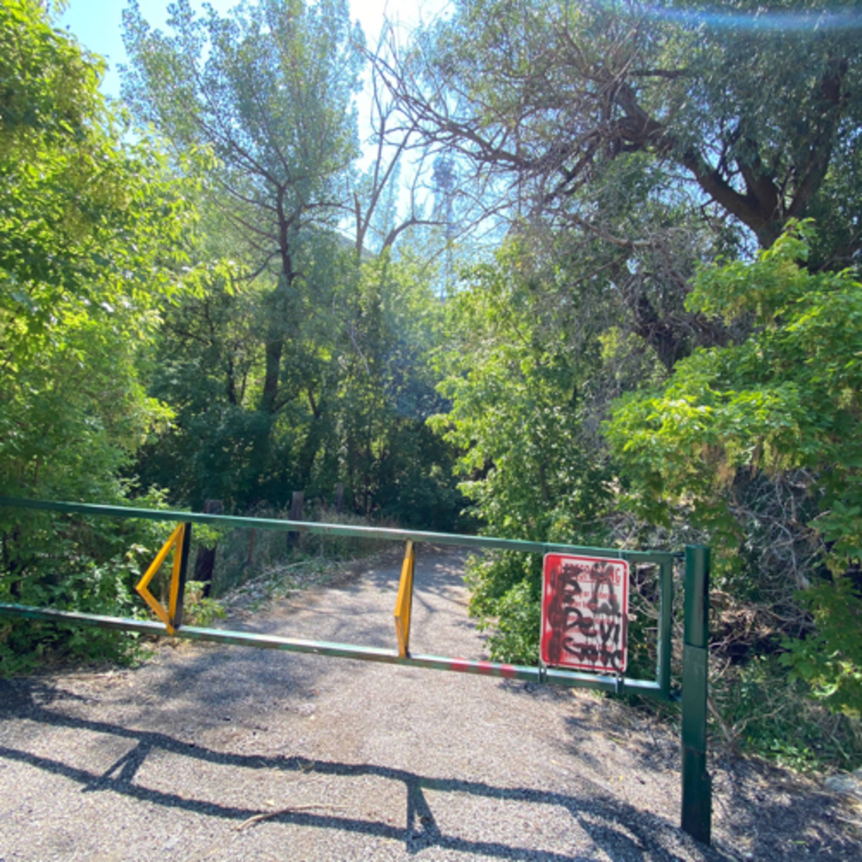 The Bling Show — The anti-eBay Show