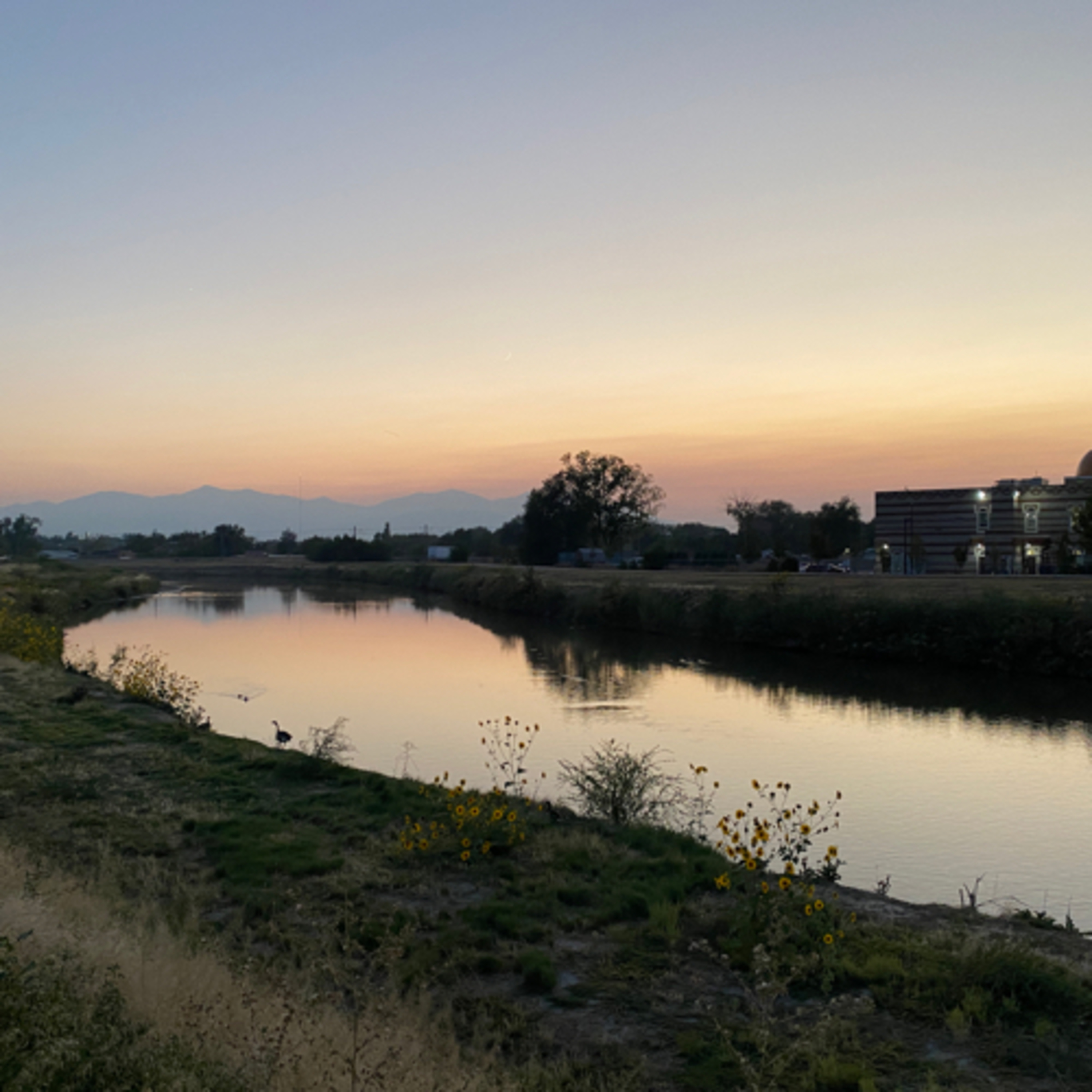 The Bling Show — The anti-eBay Show