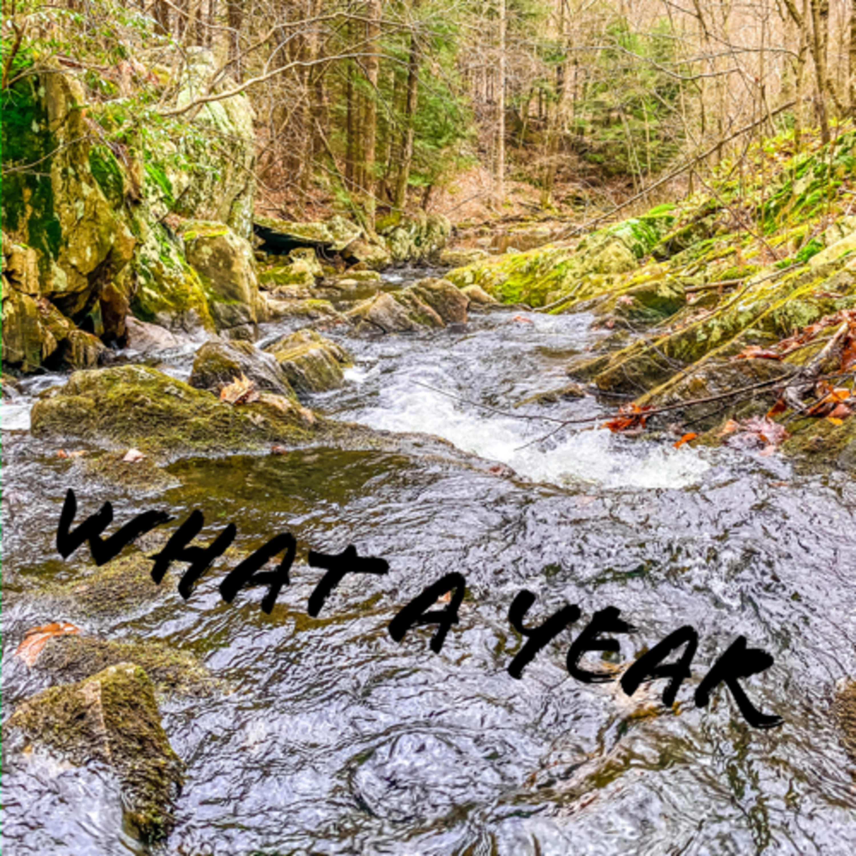 What a year episode artwork