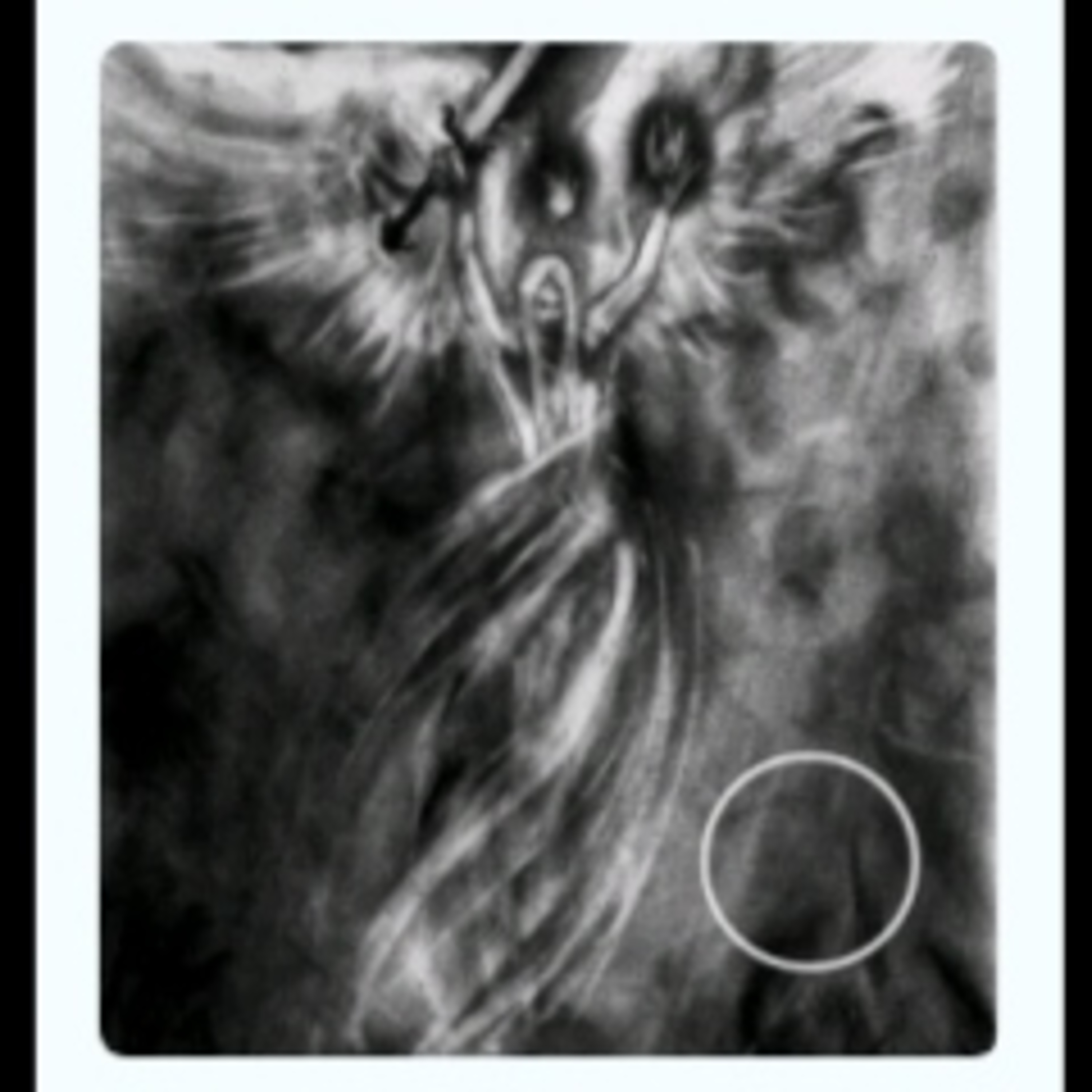 Del Libro Del Viento episode artwork
