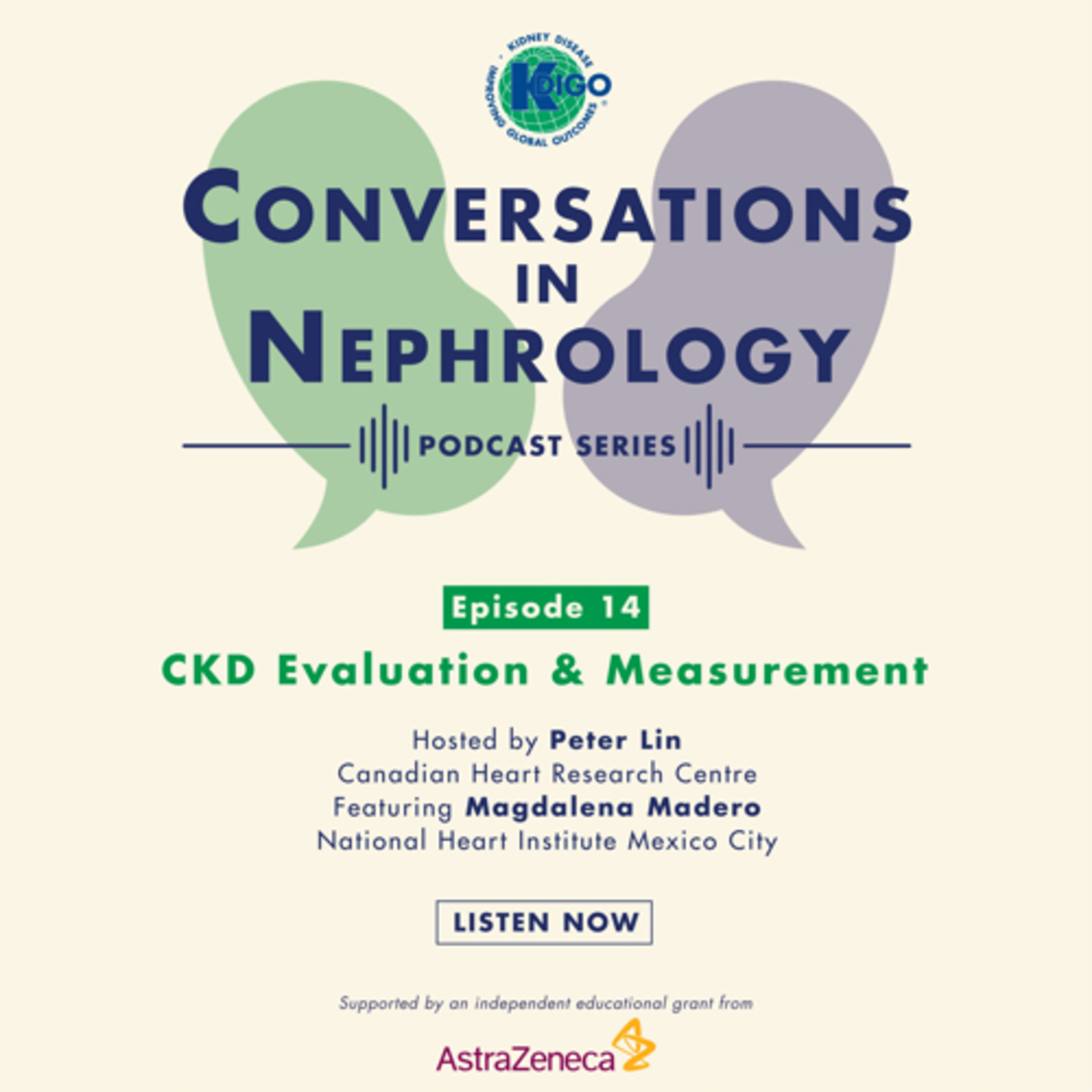 KDIGO Conversations in Nephrology