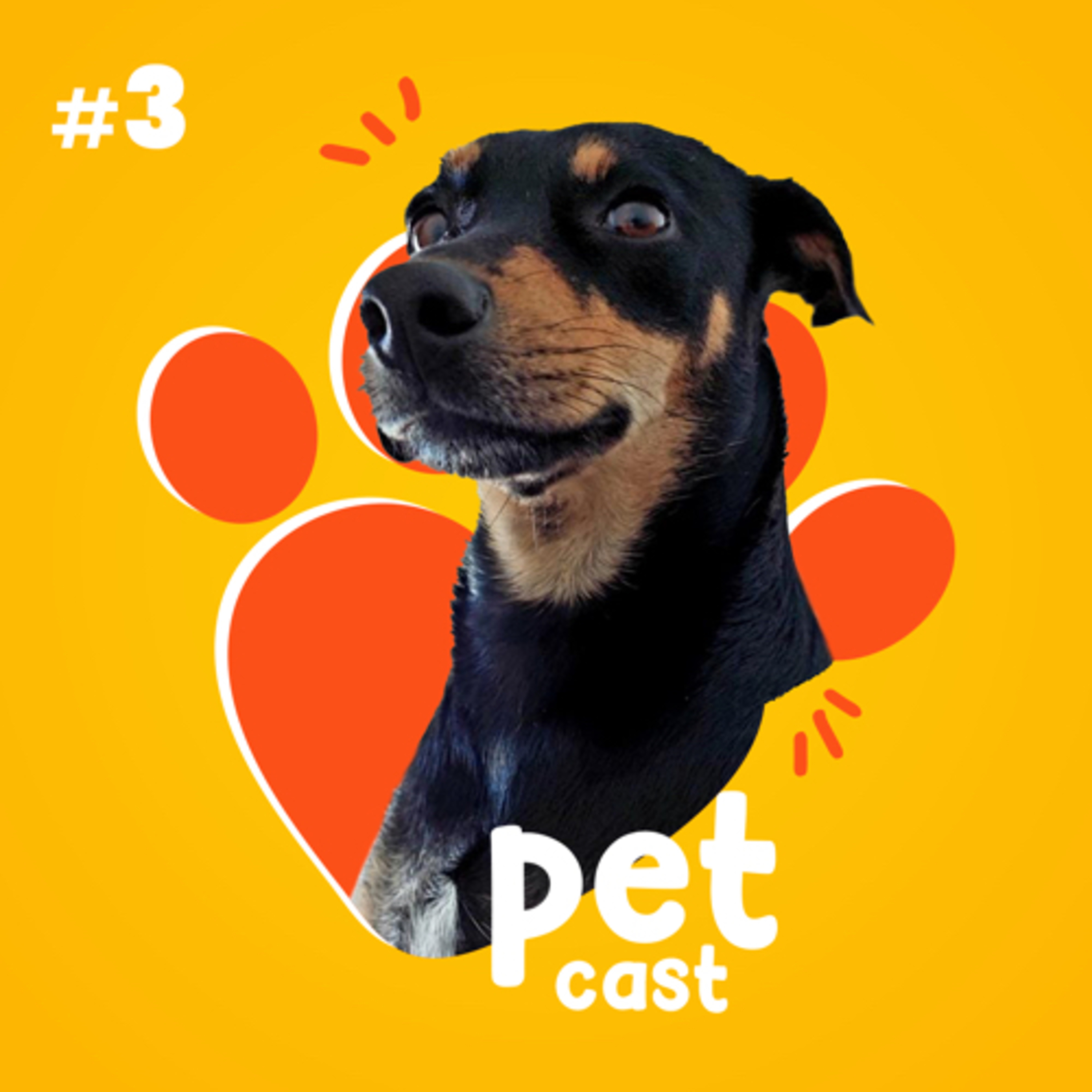 Petcast