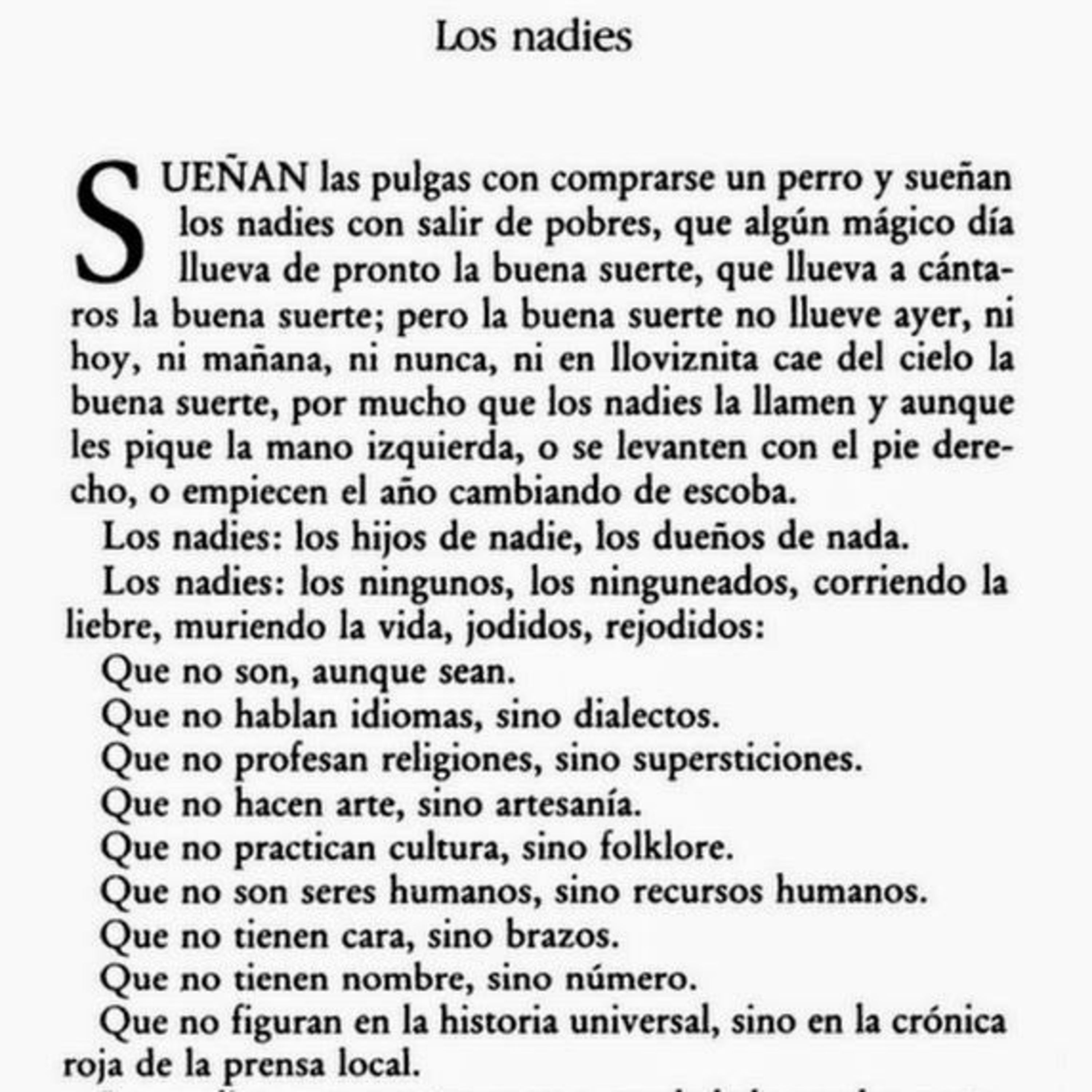 Letras Para Los Sentires. Porque les Migrantes Copamos Los Espacios.