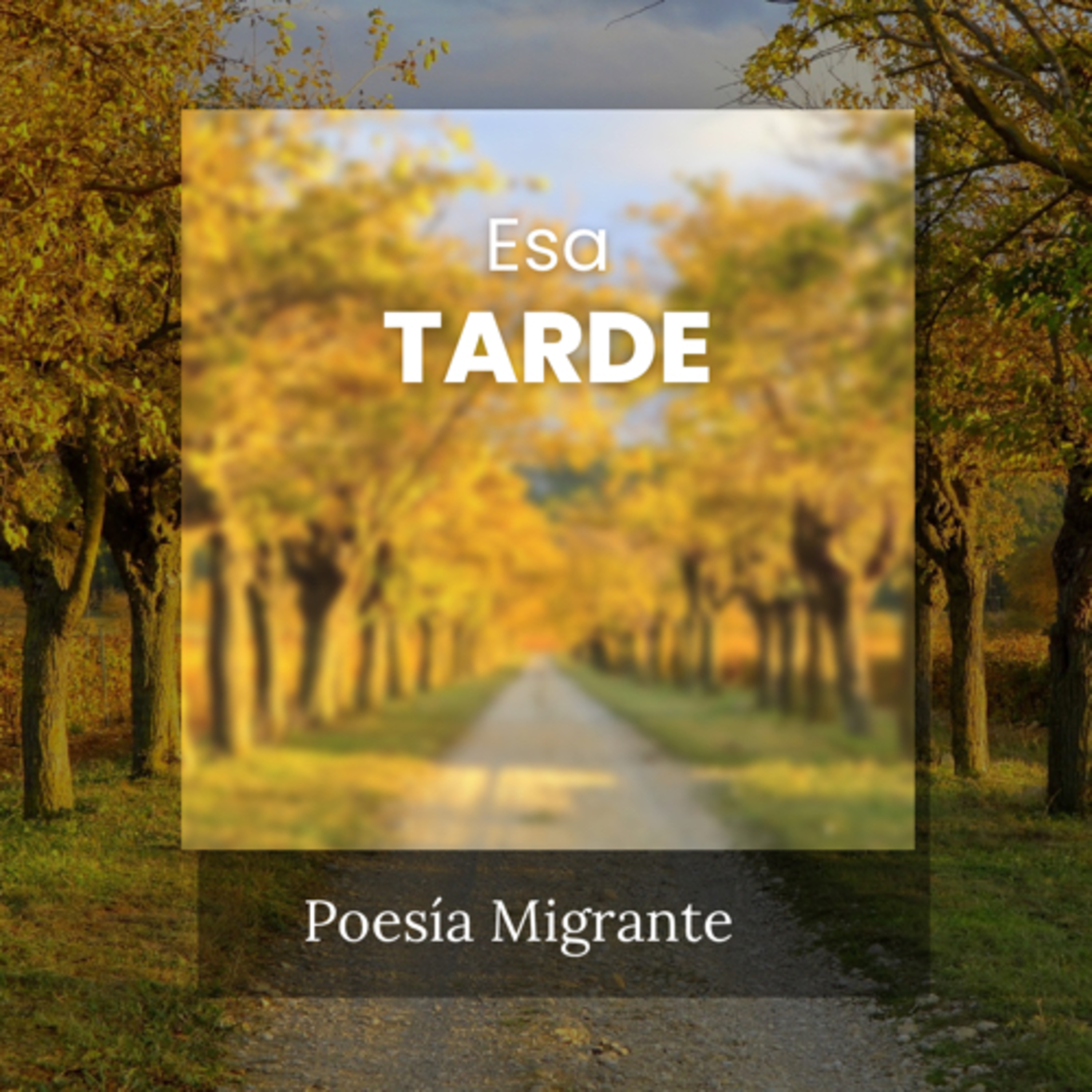 Letras Para Los Sentires. Porque les Migrantes Copamos Los Espacios.