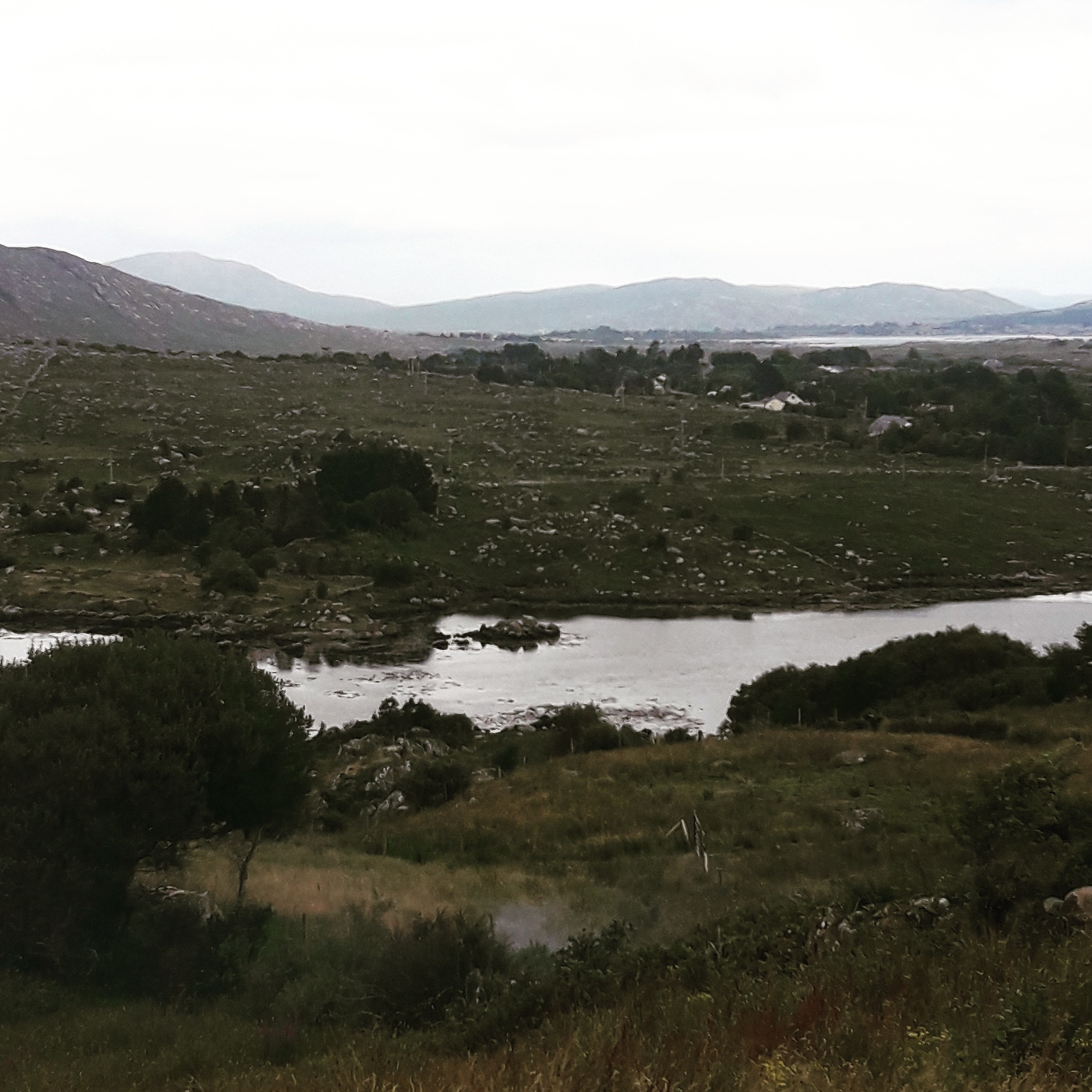 Night Time Talk - Talking about Demolition Ranch