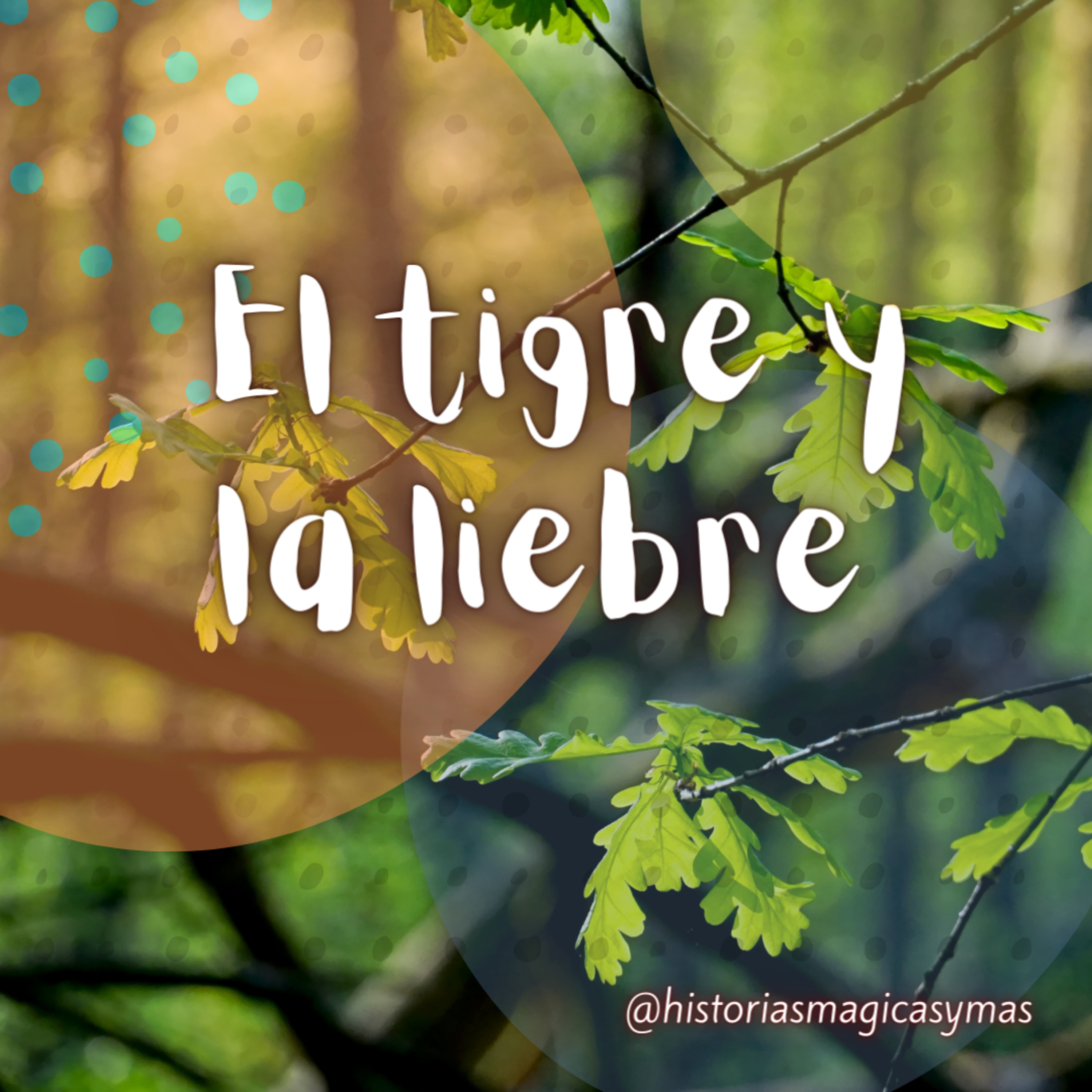 Historias Mágicas y Más