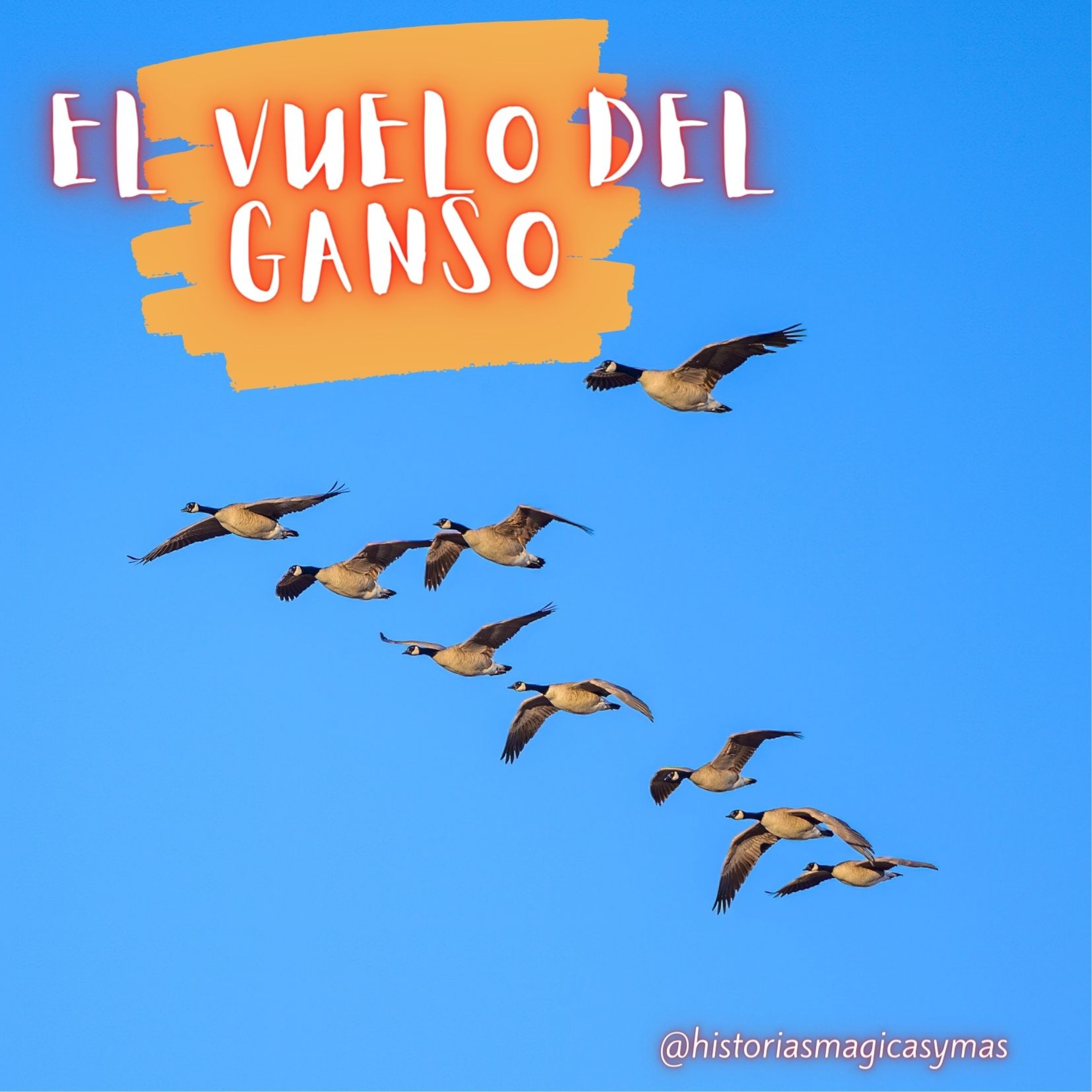 Historias Mágicas y Más