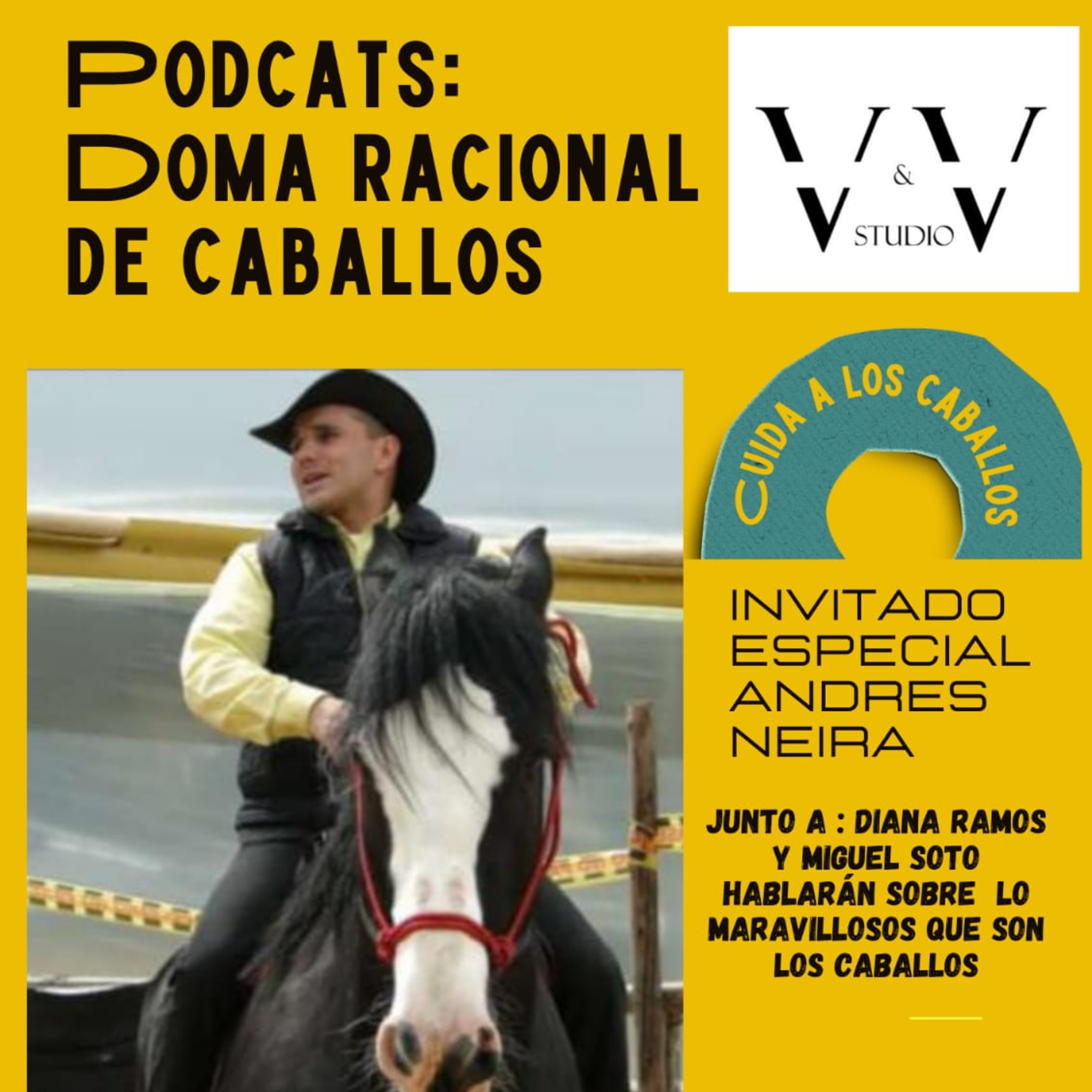 Doma Racional, una excelente alternativa para tratar a los caballos