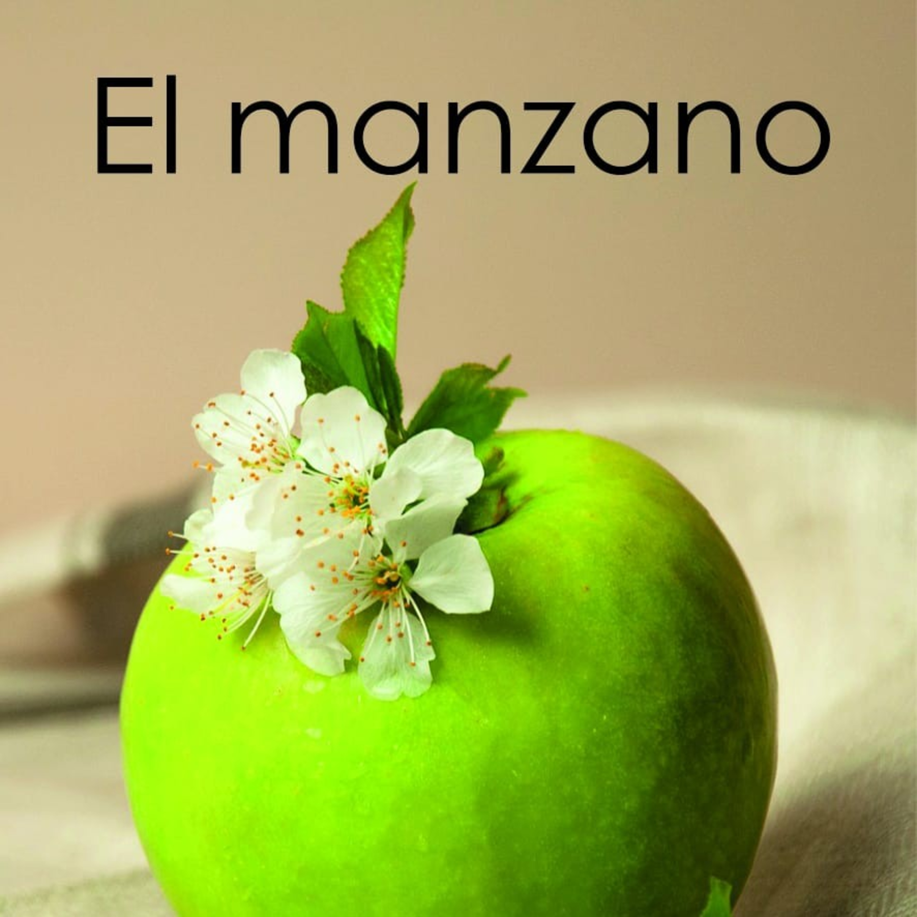 Portada de Paisaje Literario
