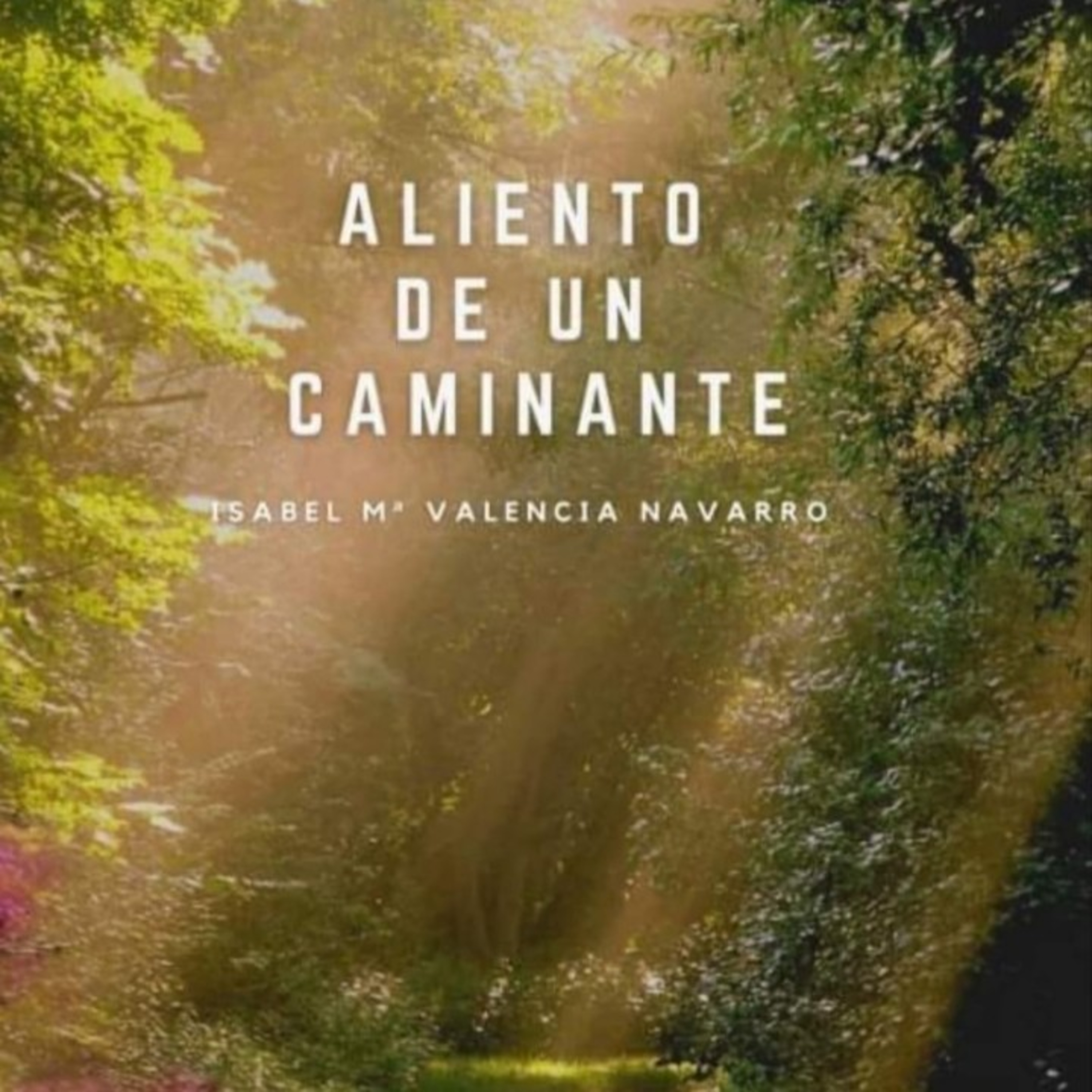 Isabel María Valencia Navarro - Fragmento de "Aliento de un caminante" en la voz de su autora  episode artwork