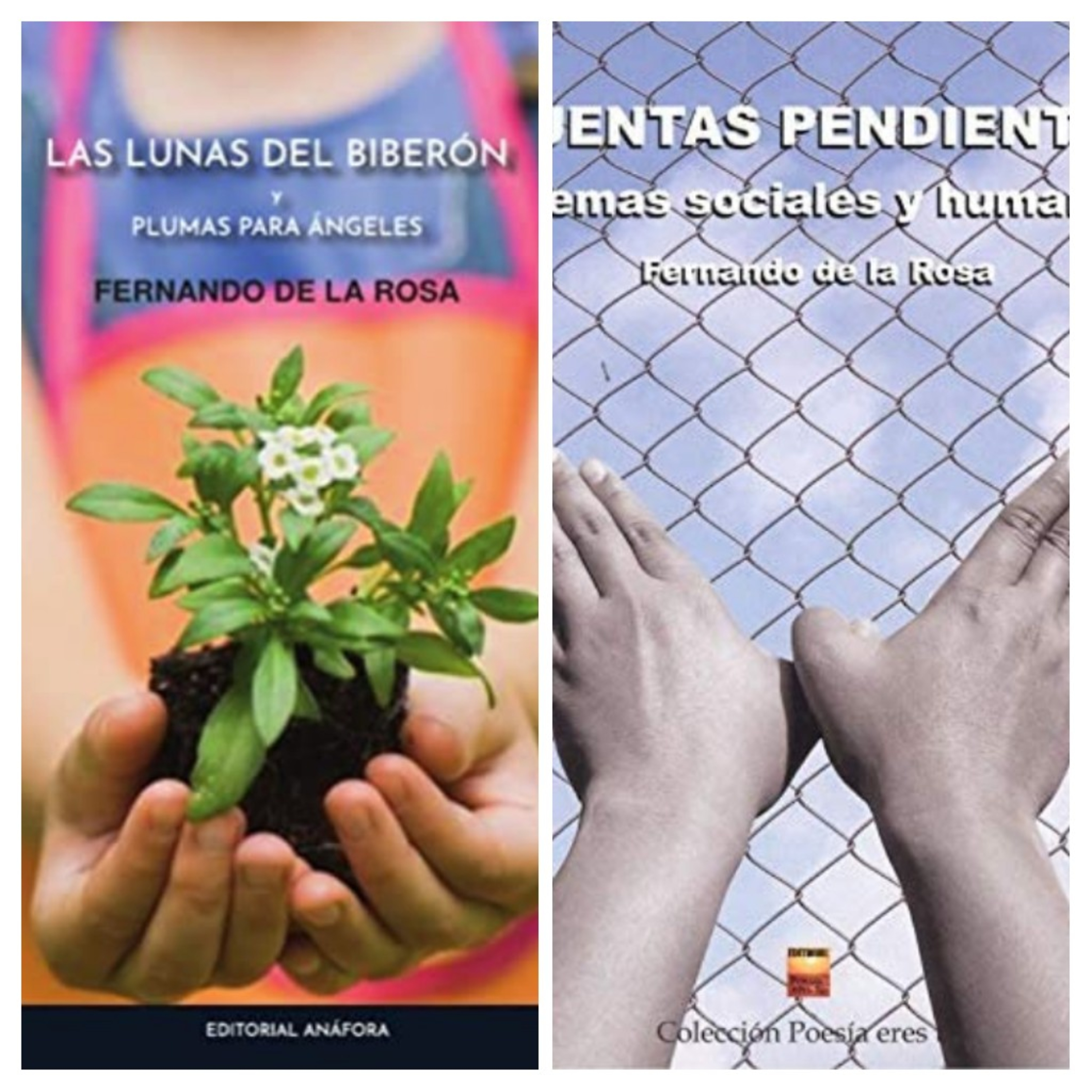 Trigésimo especial de entrevistas COLECTIVO MALAGUEÑO DE ESCRITORES - escritor español Fernando de la Rosa del 13 de Julio de 2022. episode artwork