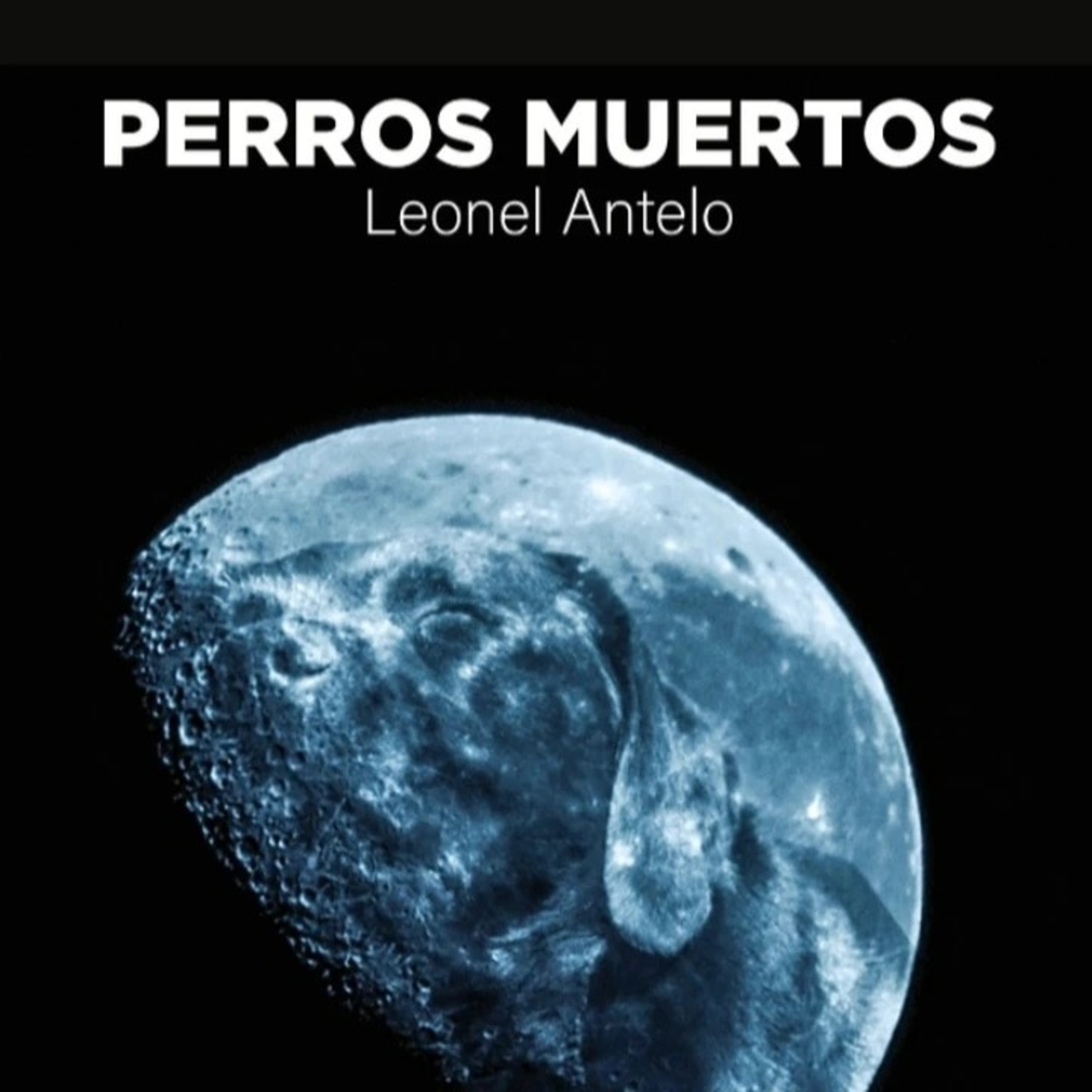 Leonel Antelo - Fragmento del capítulo 15 de Perros muertos Leído por Leonel Antelo. episode artwork