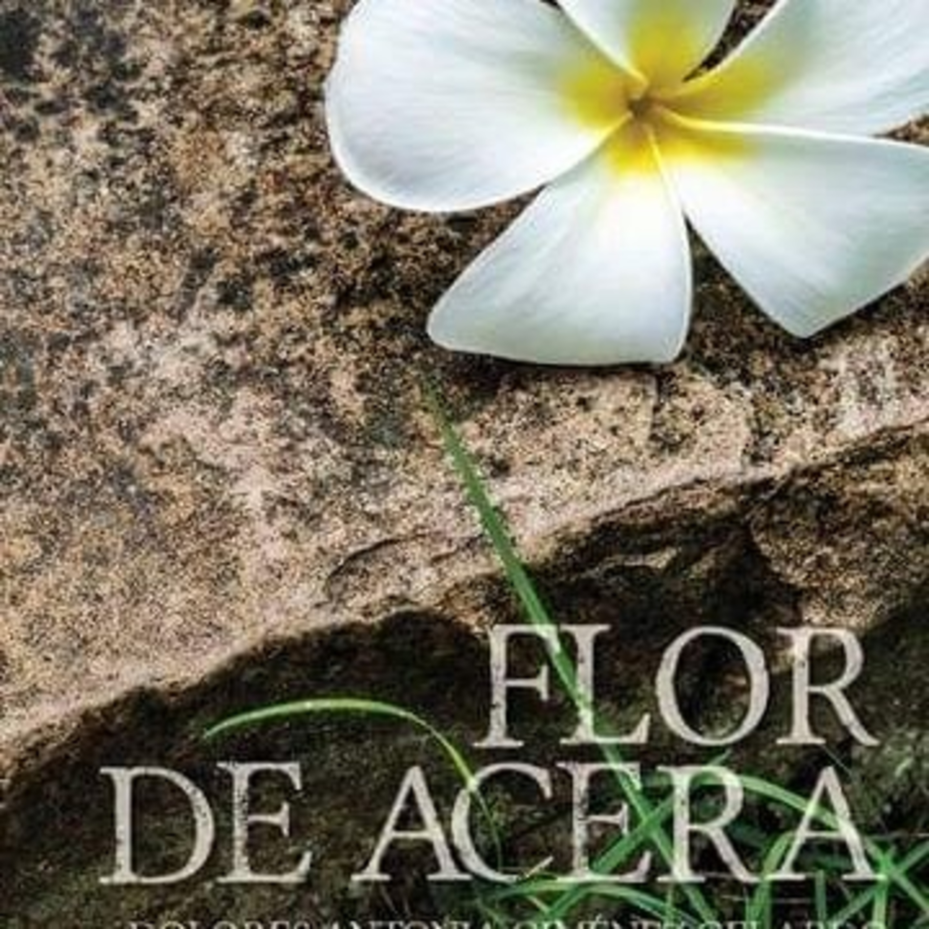 Loly Giménez - Poema 8 de "Flor de acera" Leído por Loly Giménez. episode artwork