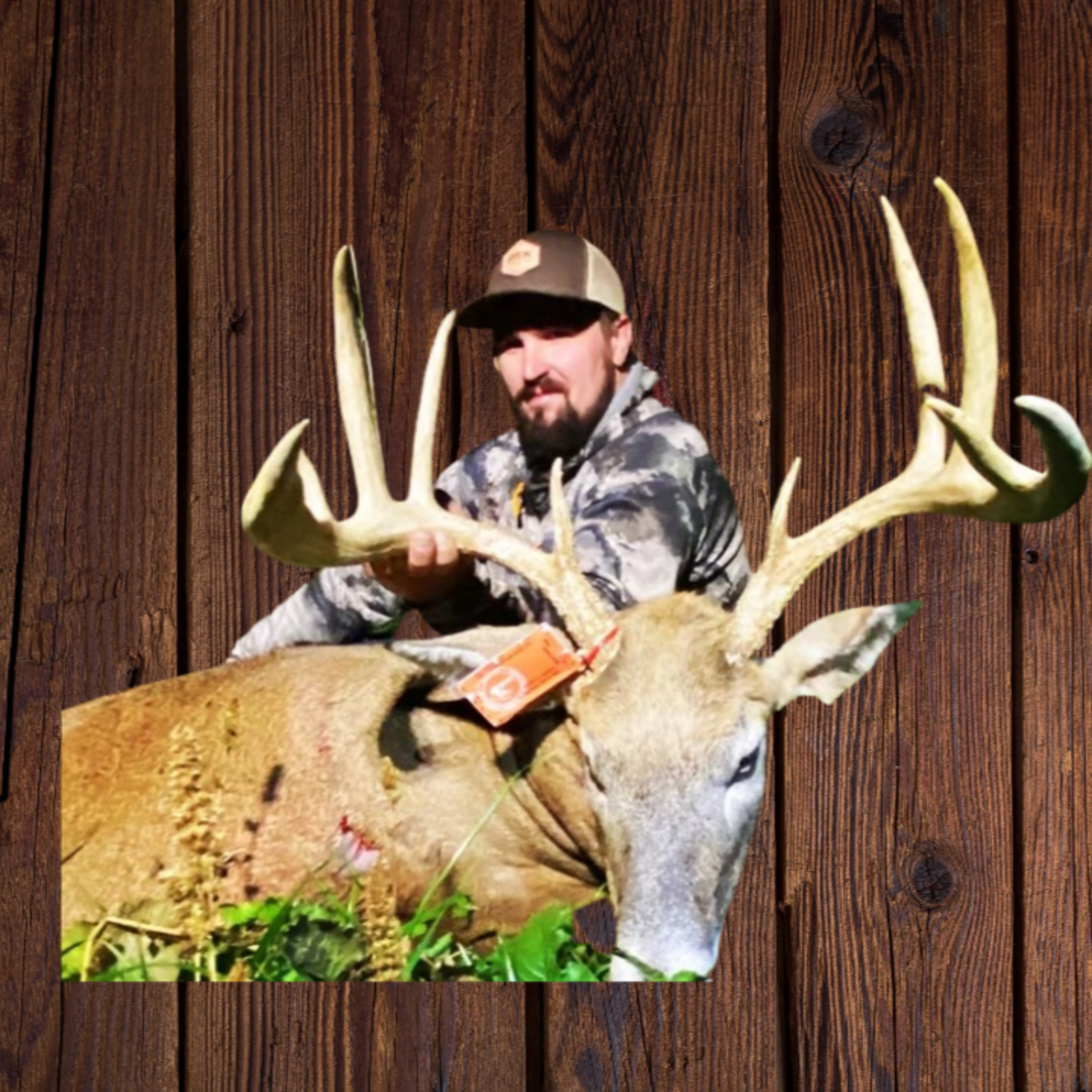 Blue River Bowhunting
