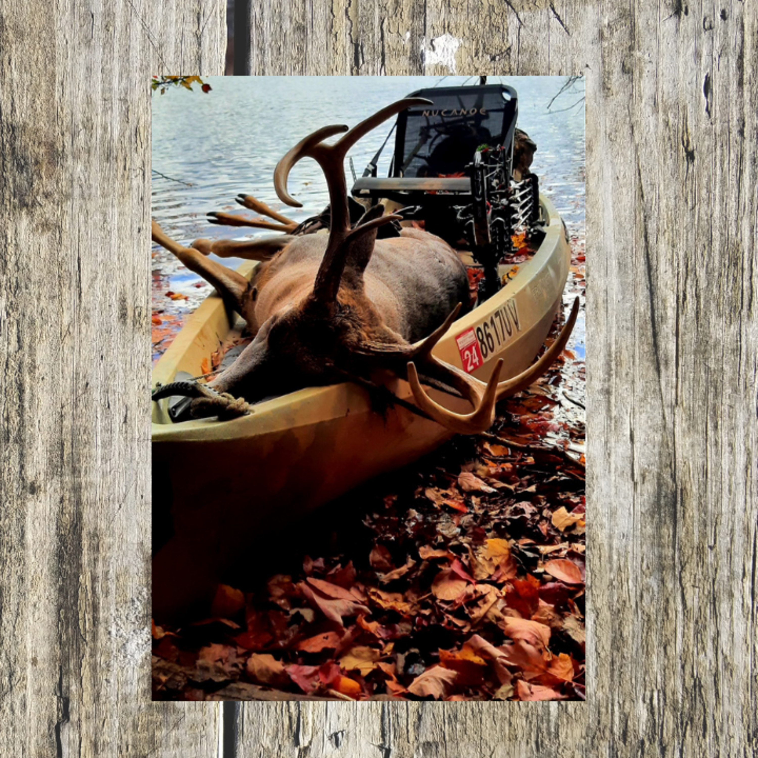 Blue River Bowhunting