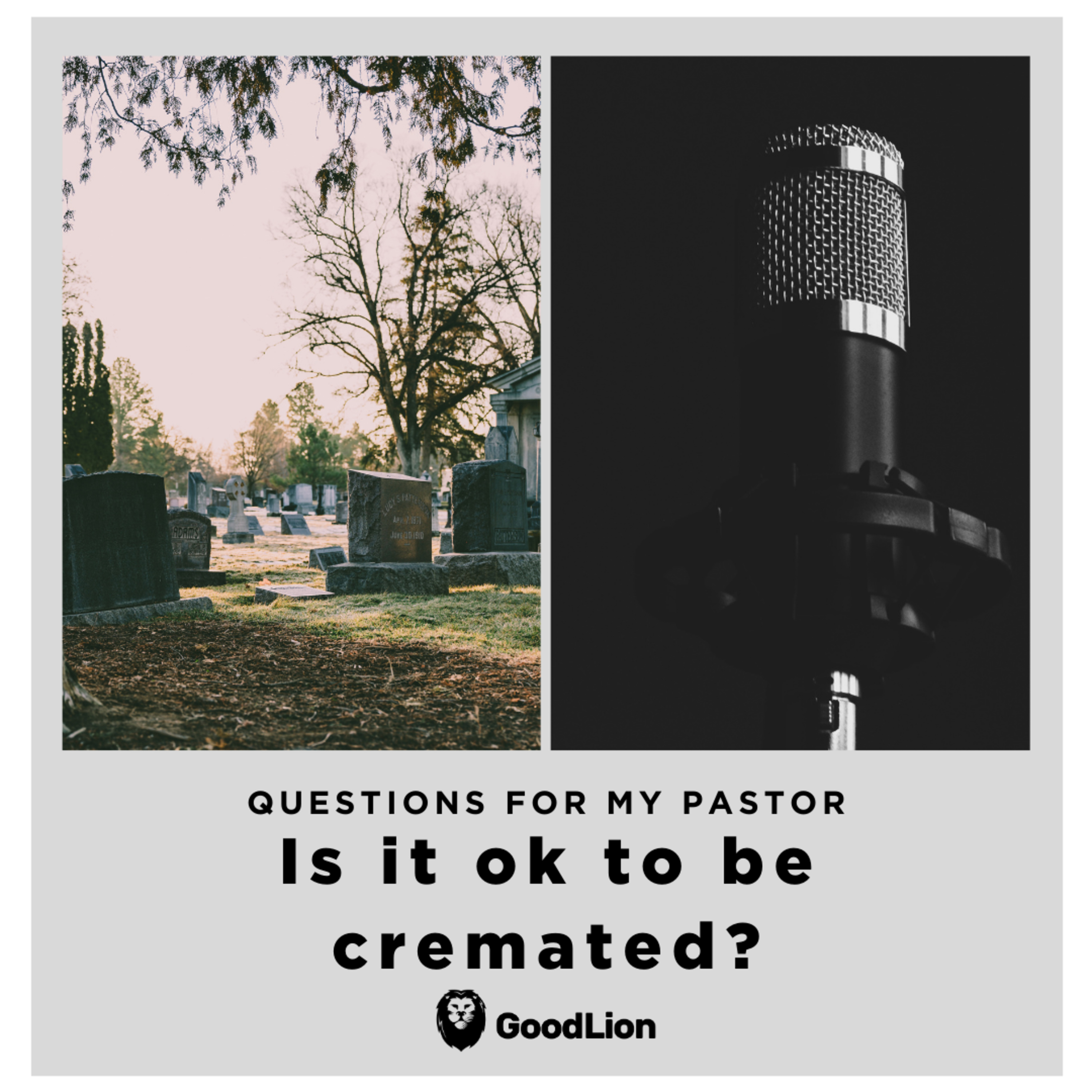 Questions For My Pastor