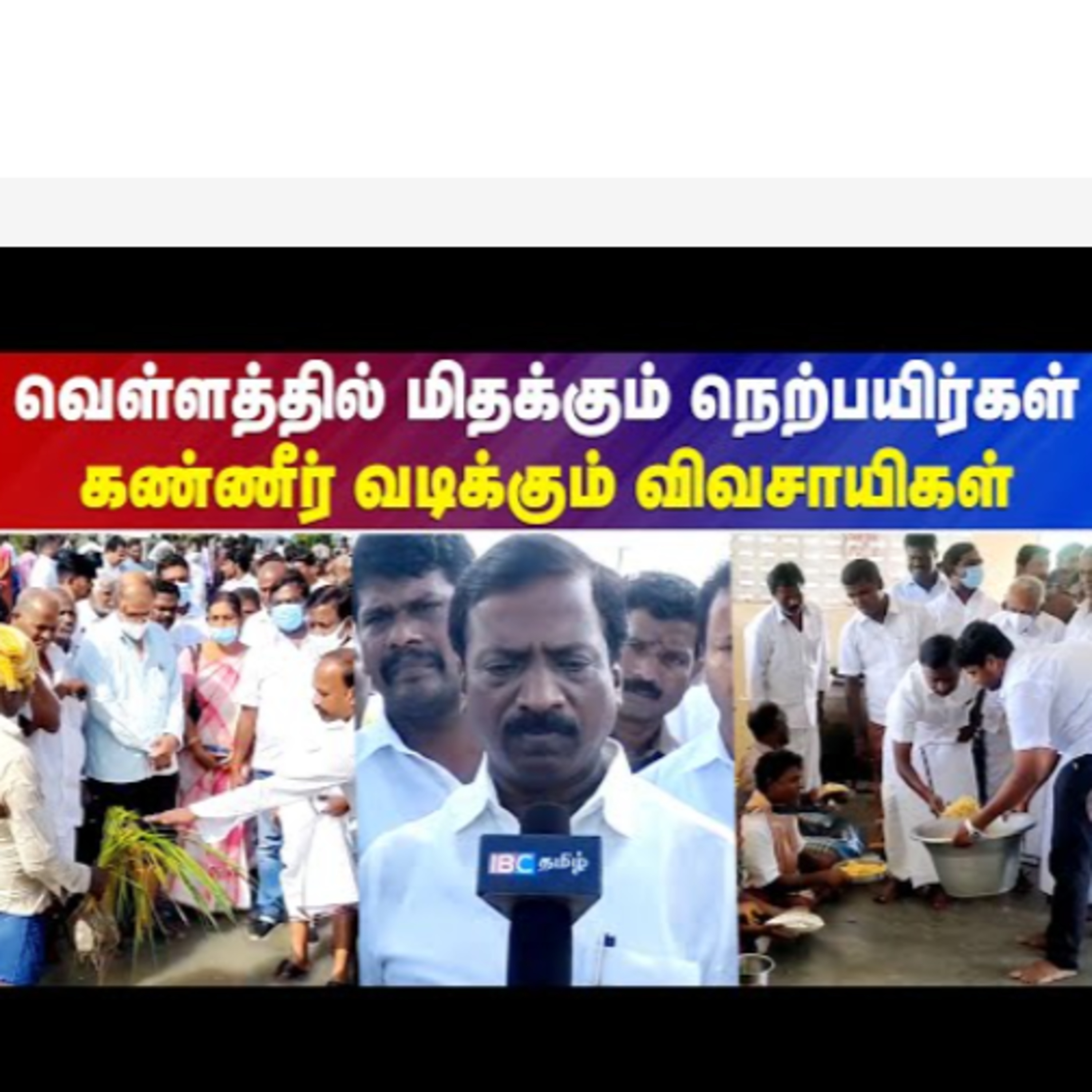 IBC Tamilnadu News
