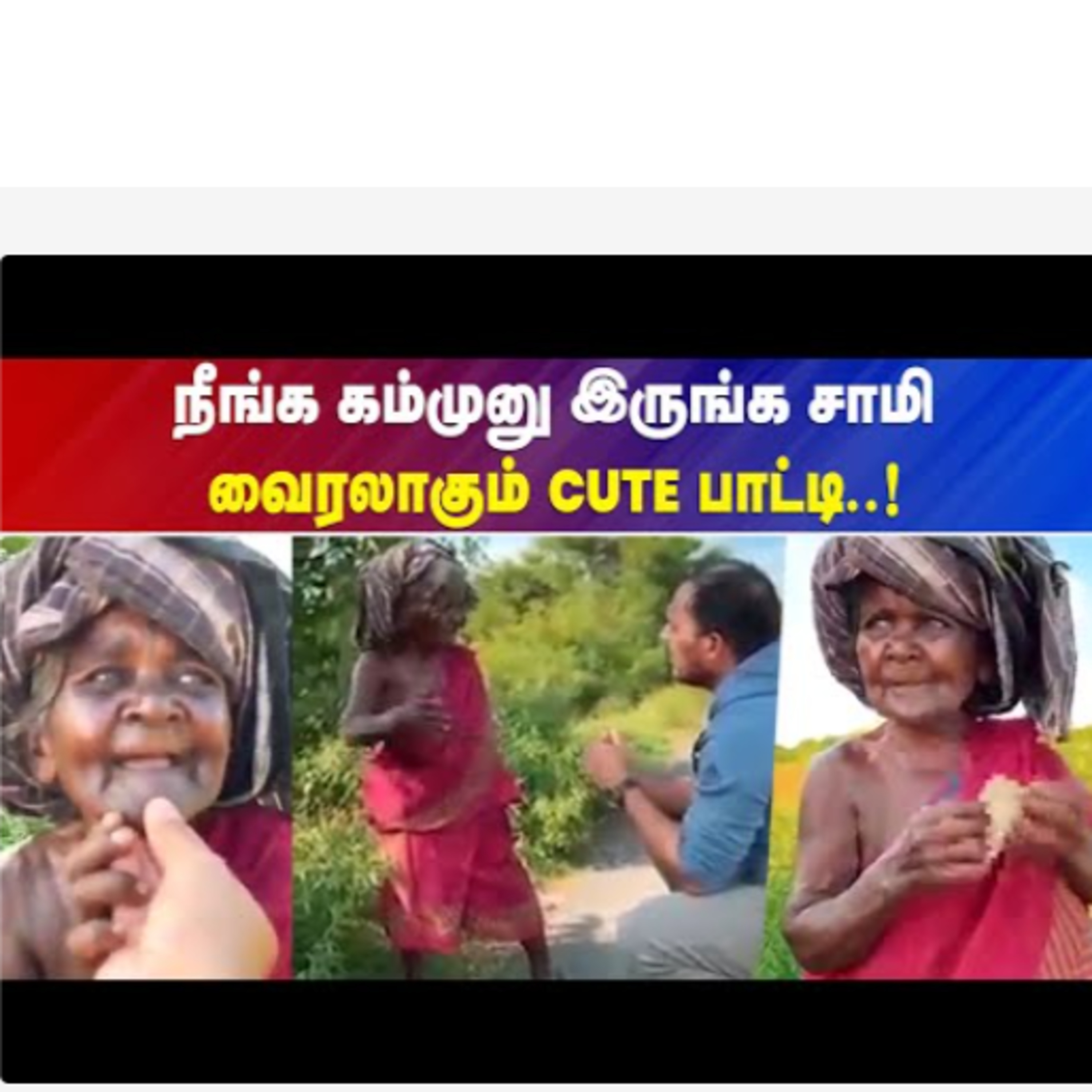 IBC Tamilnadu News