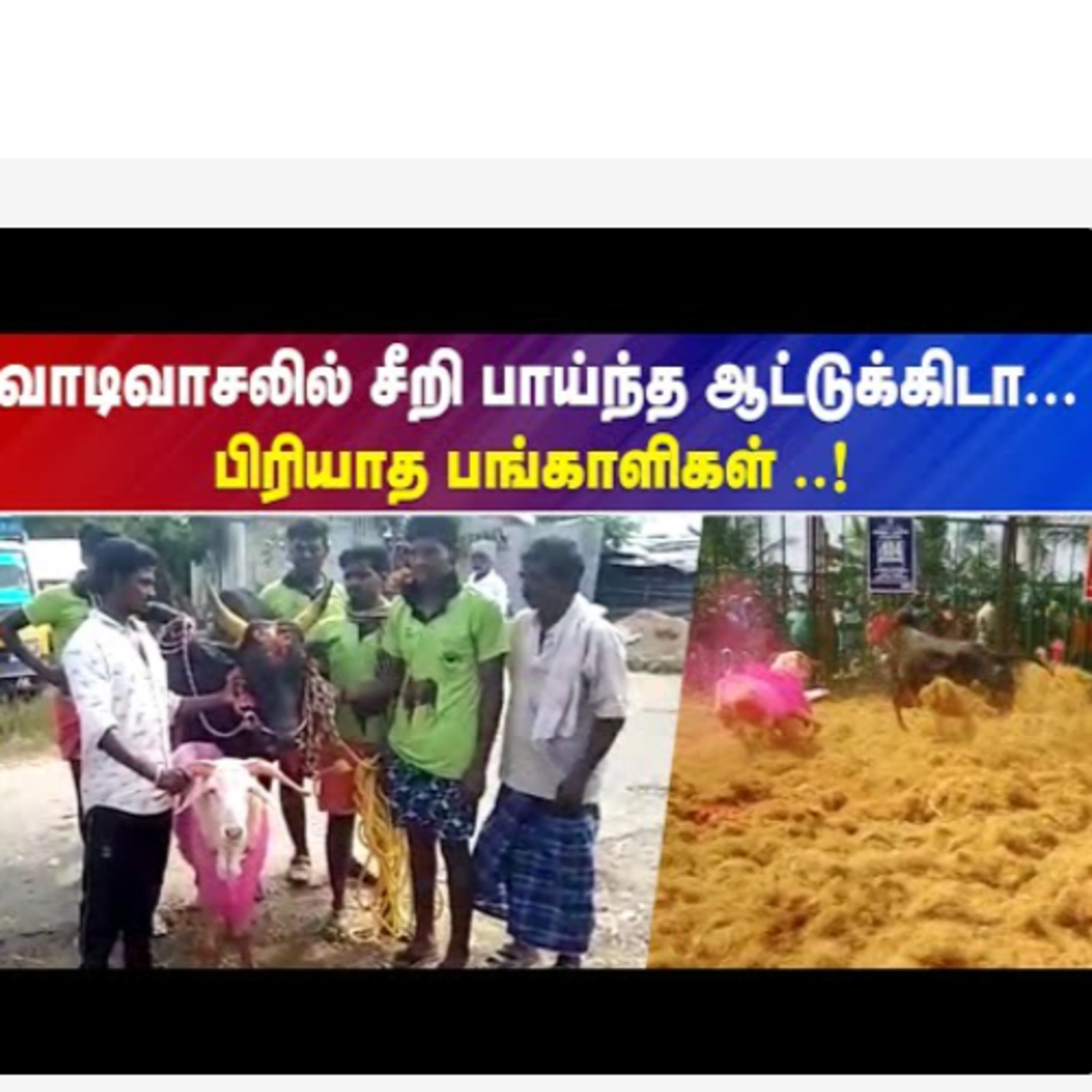 IBC Tamilnadu News