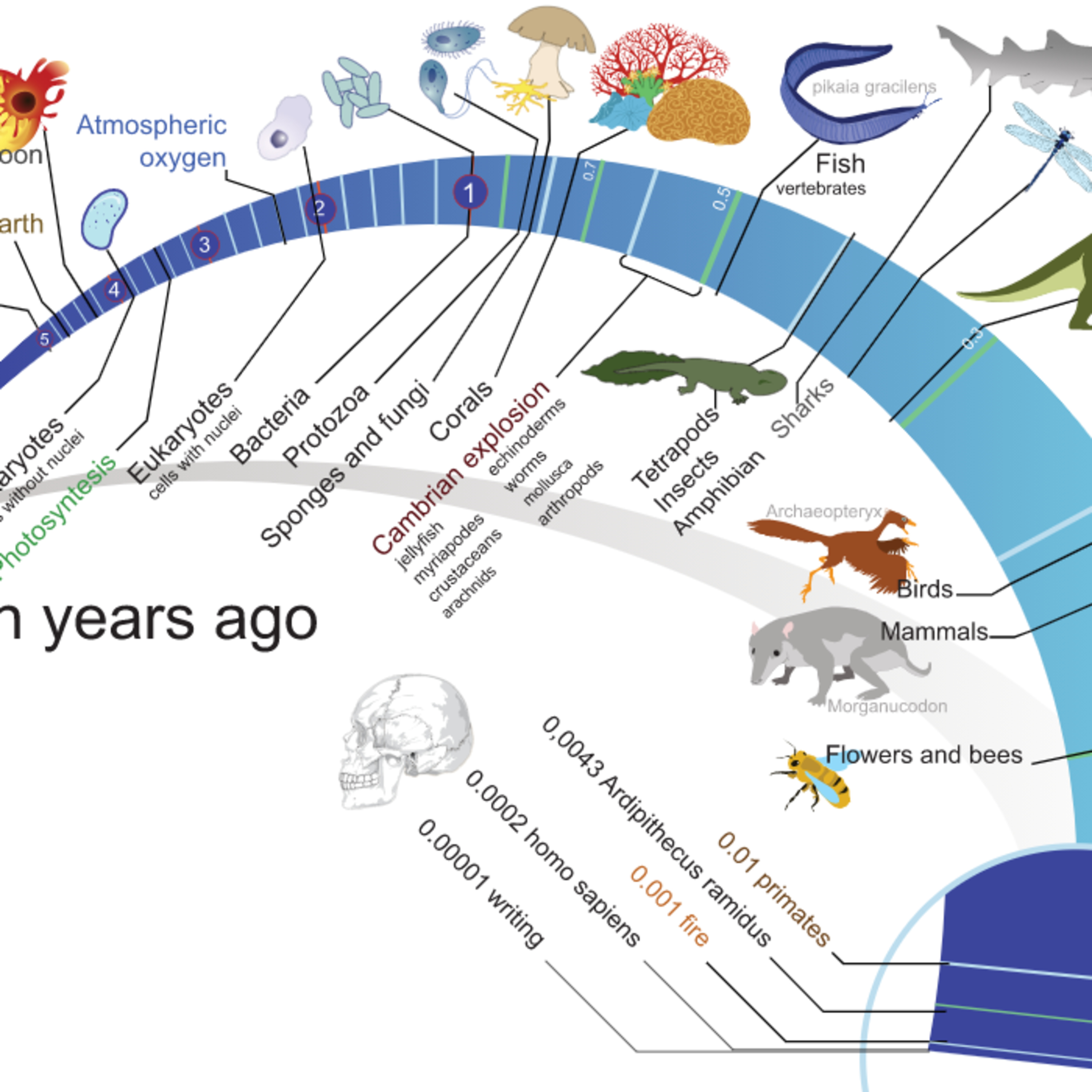 Origin of Life and Abiogenesis