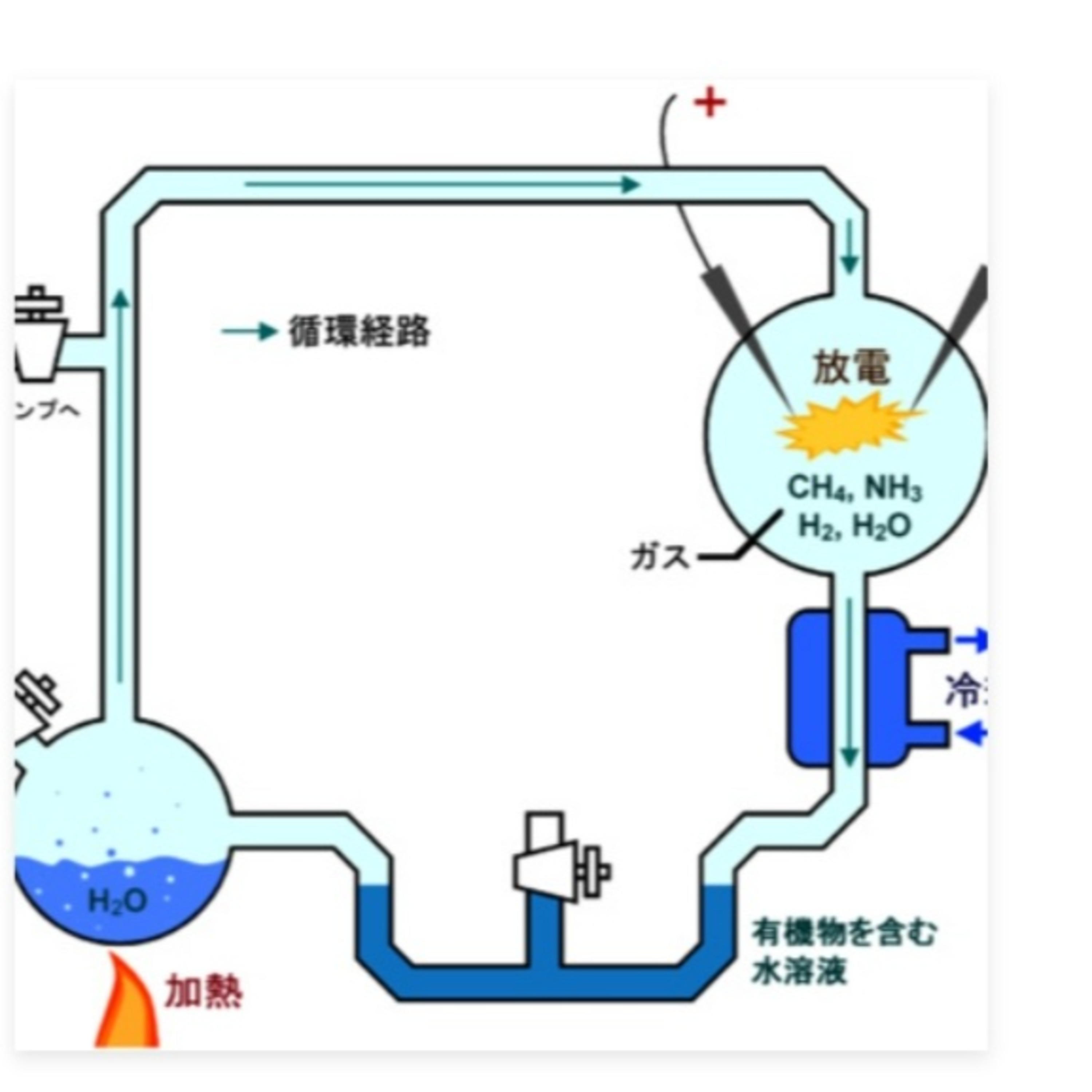 Millery-Urey Experiment and R. H. Whittaker's Five Kingdom Classification