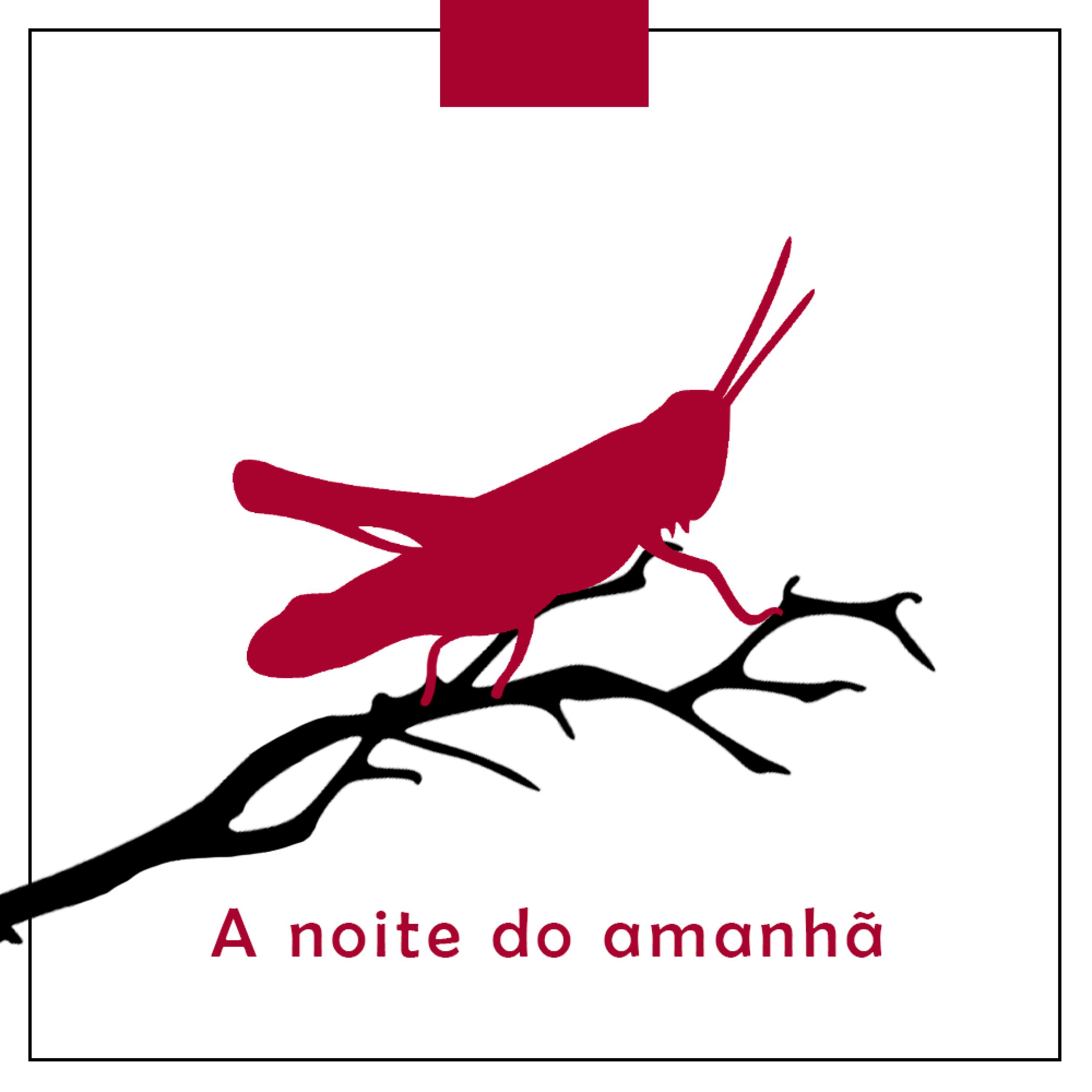 02. A noite do amanhã  episode artwork