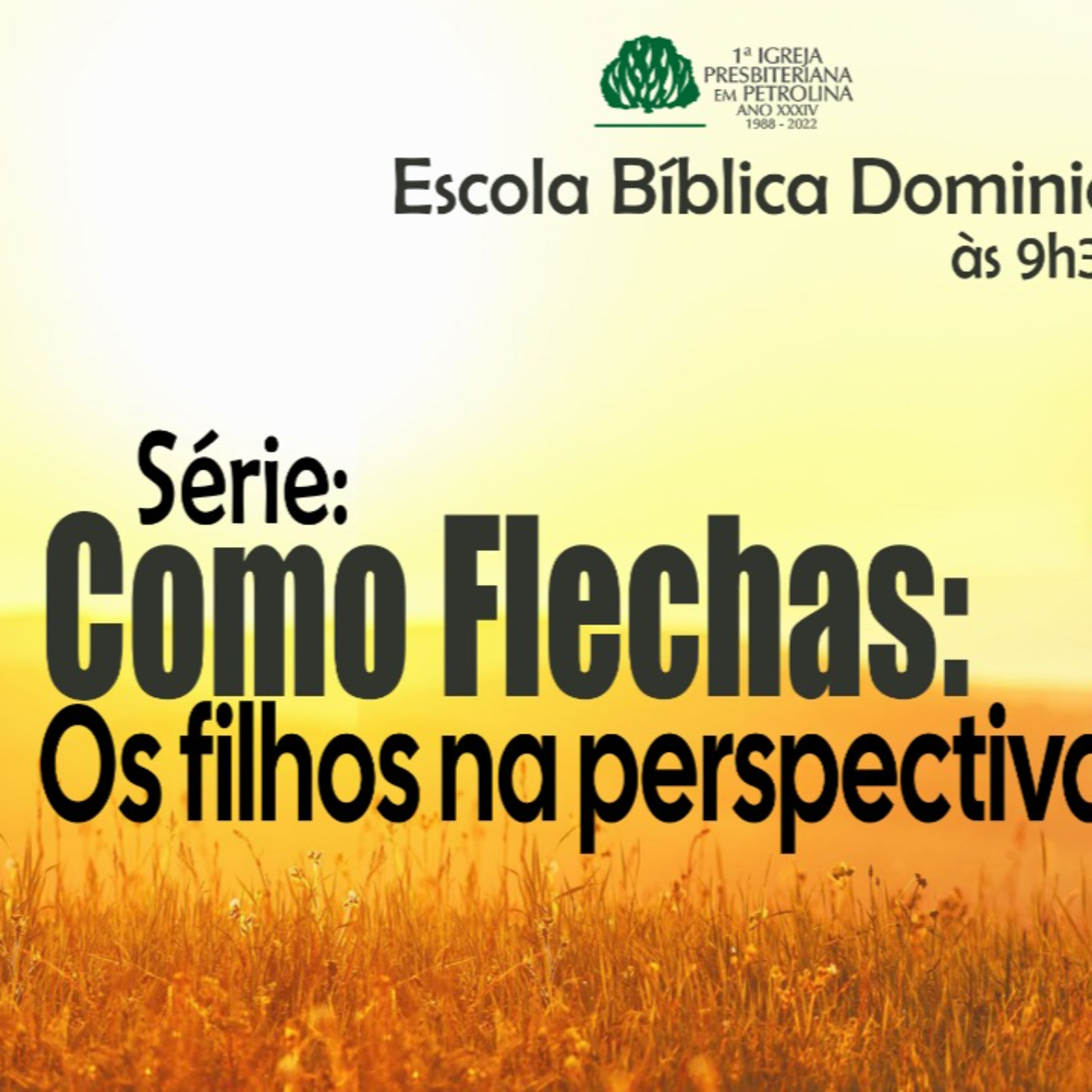 Exposição Bíblica | 08/05/2022 - Rev.Luiz Ronilson - Como Flechas: Os filhos na perspectiva de Deus episode artwork