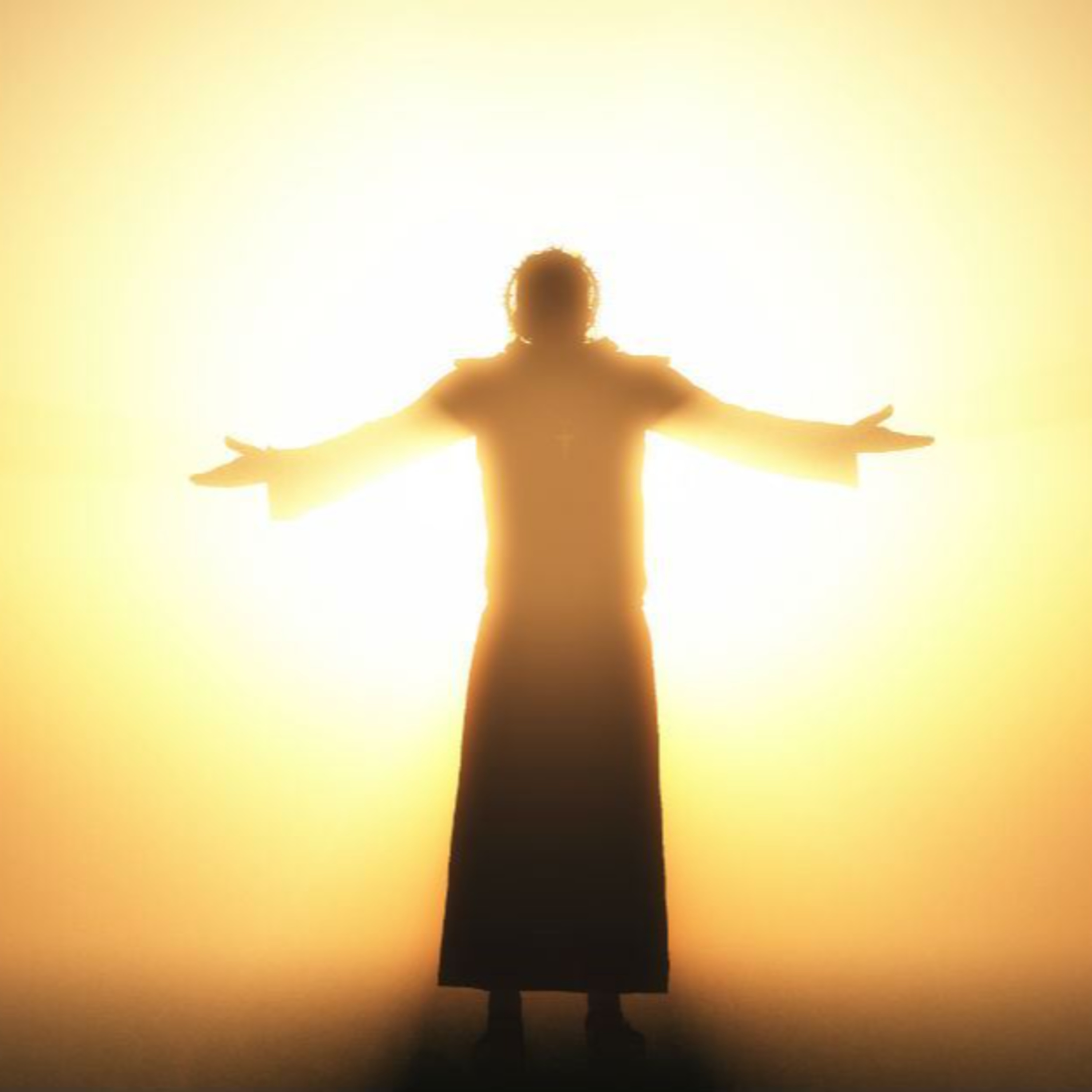 Journey In The Bible