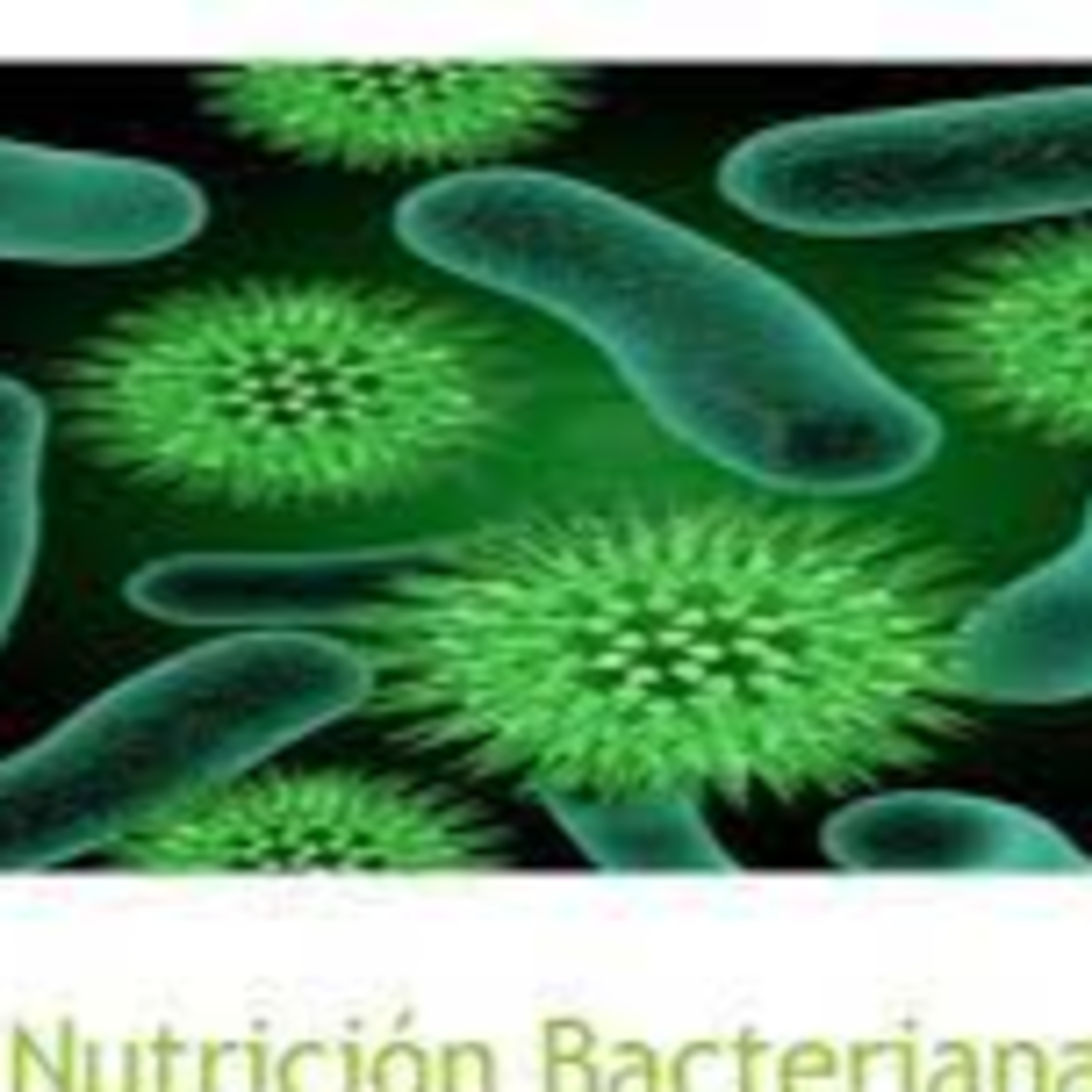 la nutrición bacteriana.