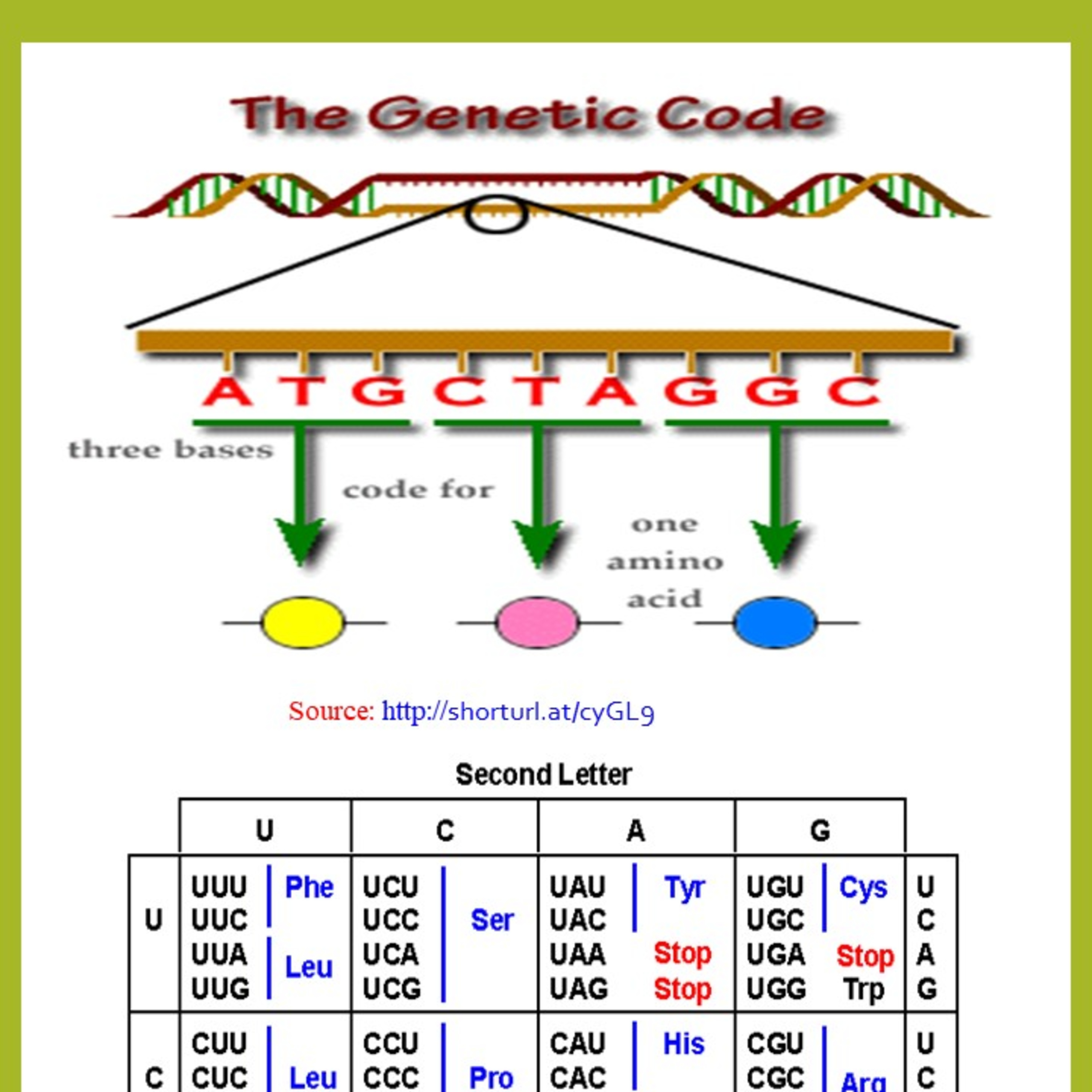 Genetic Code